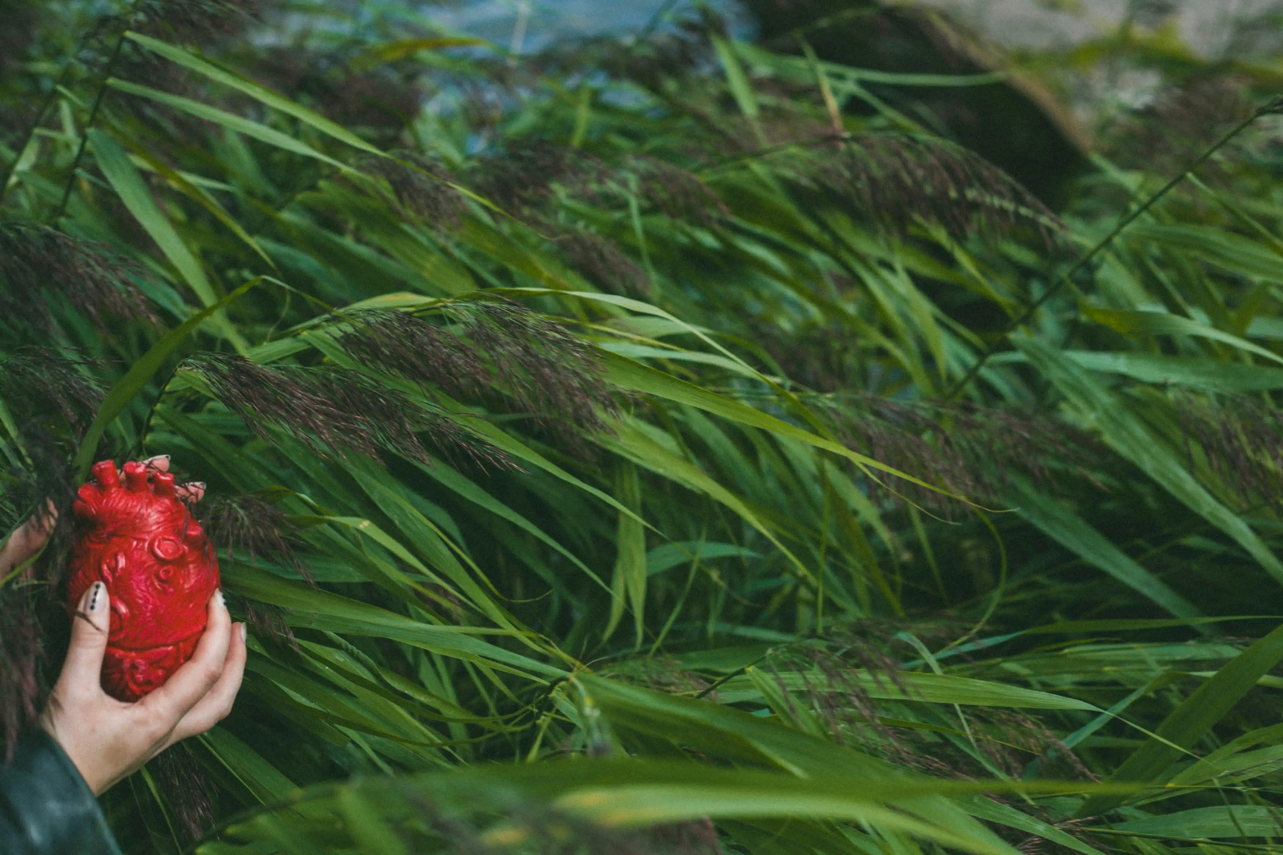 Алекс. Фотограф Александра Степанова