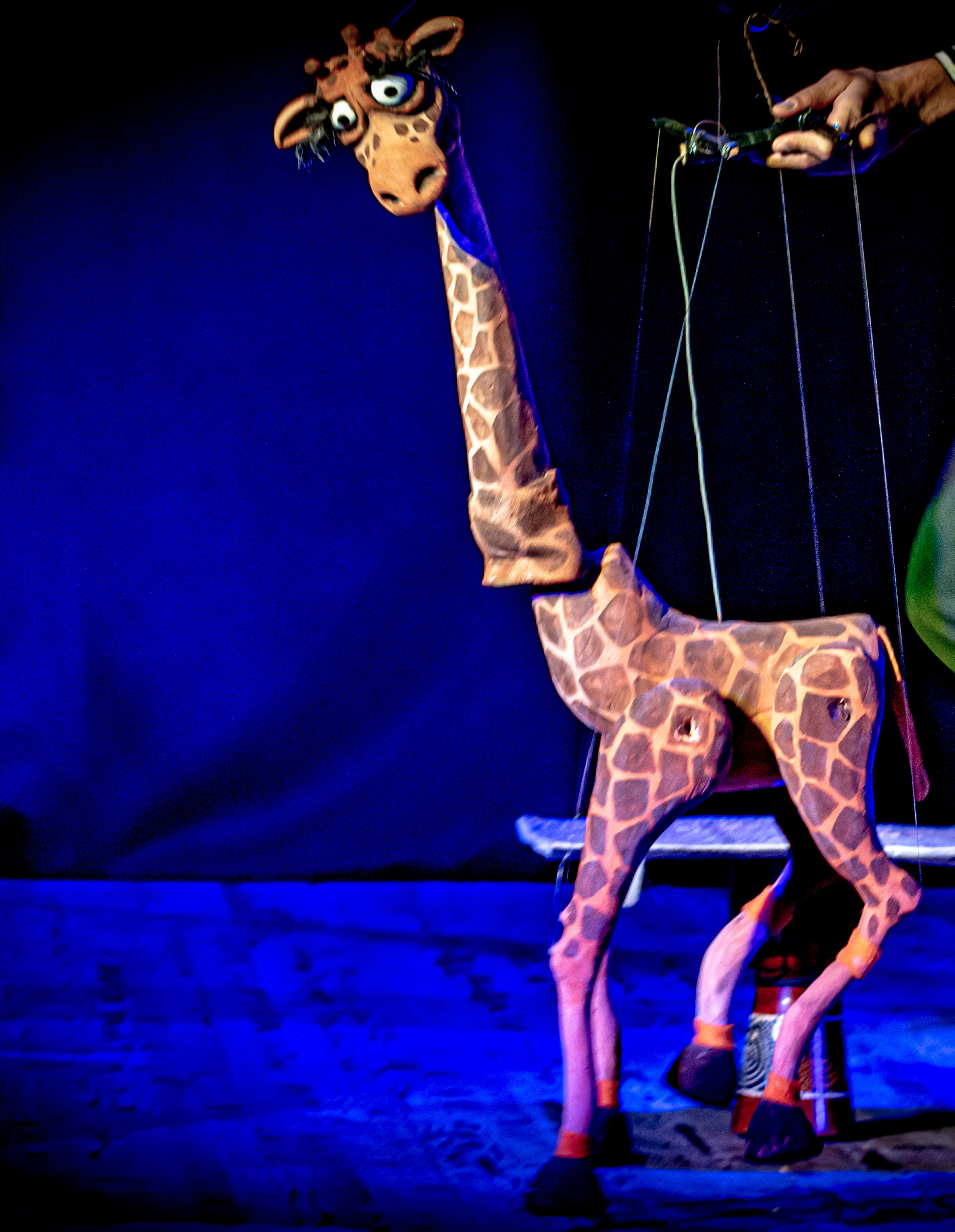Жирафа и носорог спектакль театра Саквояж. Фотограф в Сочи Юрий Шептаев