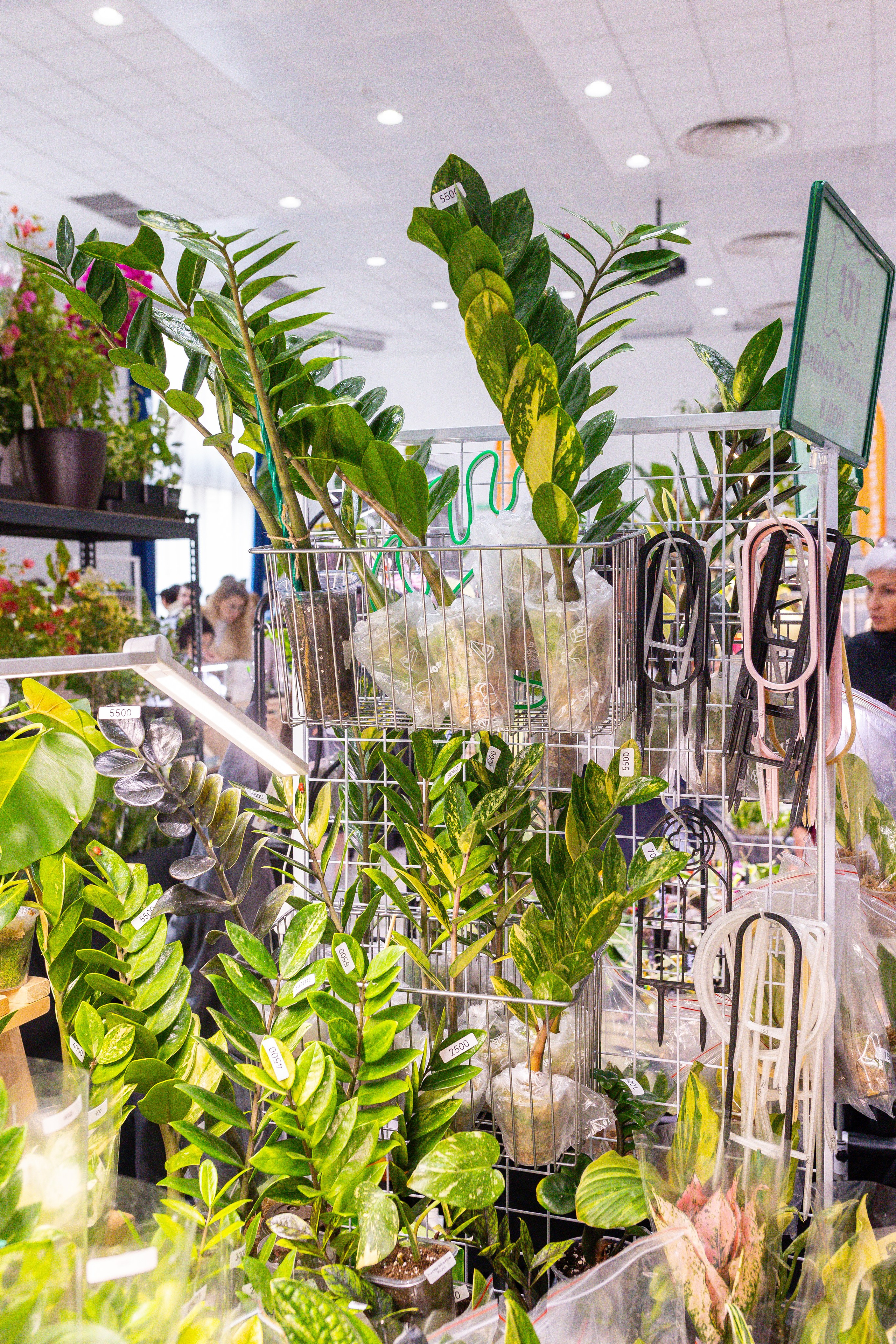 Монстериум 11–12 октября. Александра Куликова фотограф, Москва