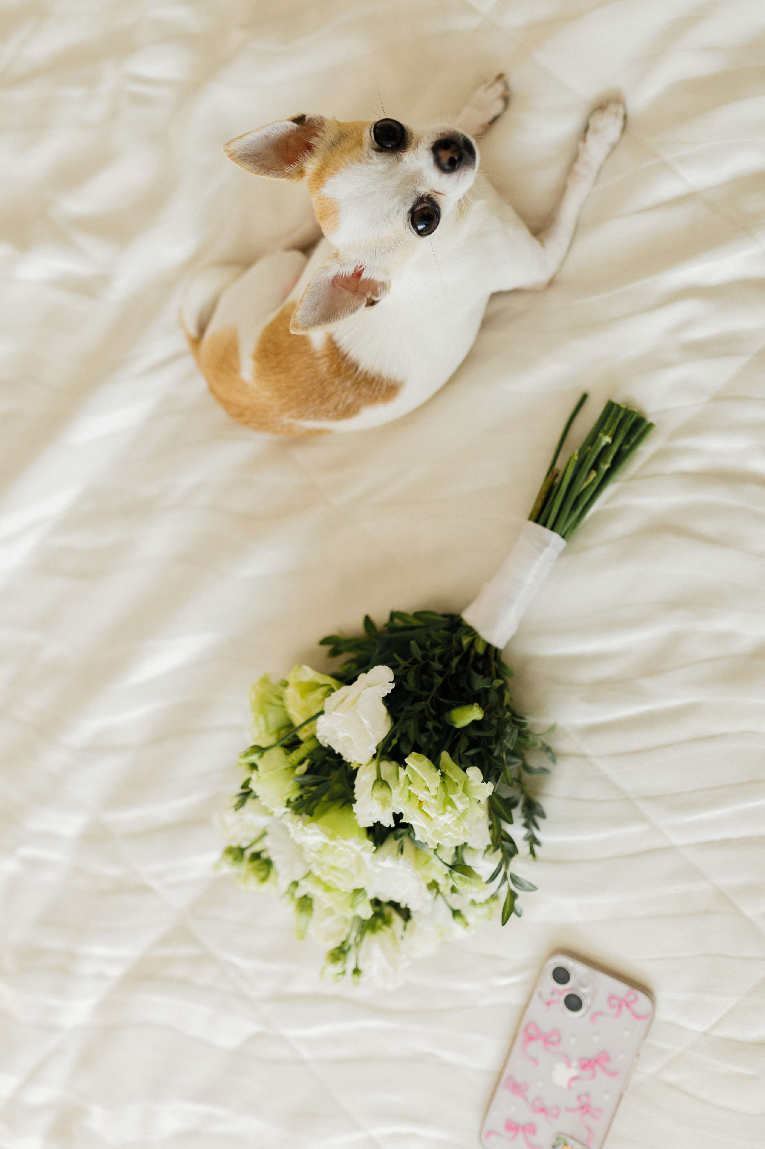 Виталий и Юлия. Фотограф в Кирове Настя Шабардина