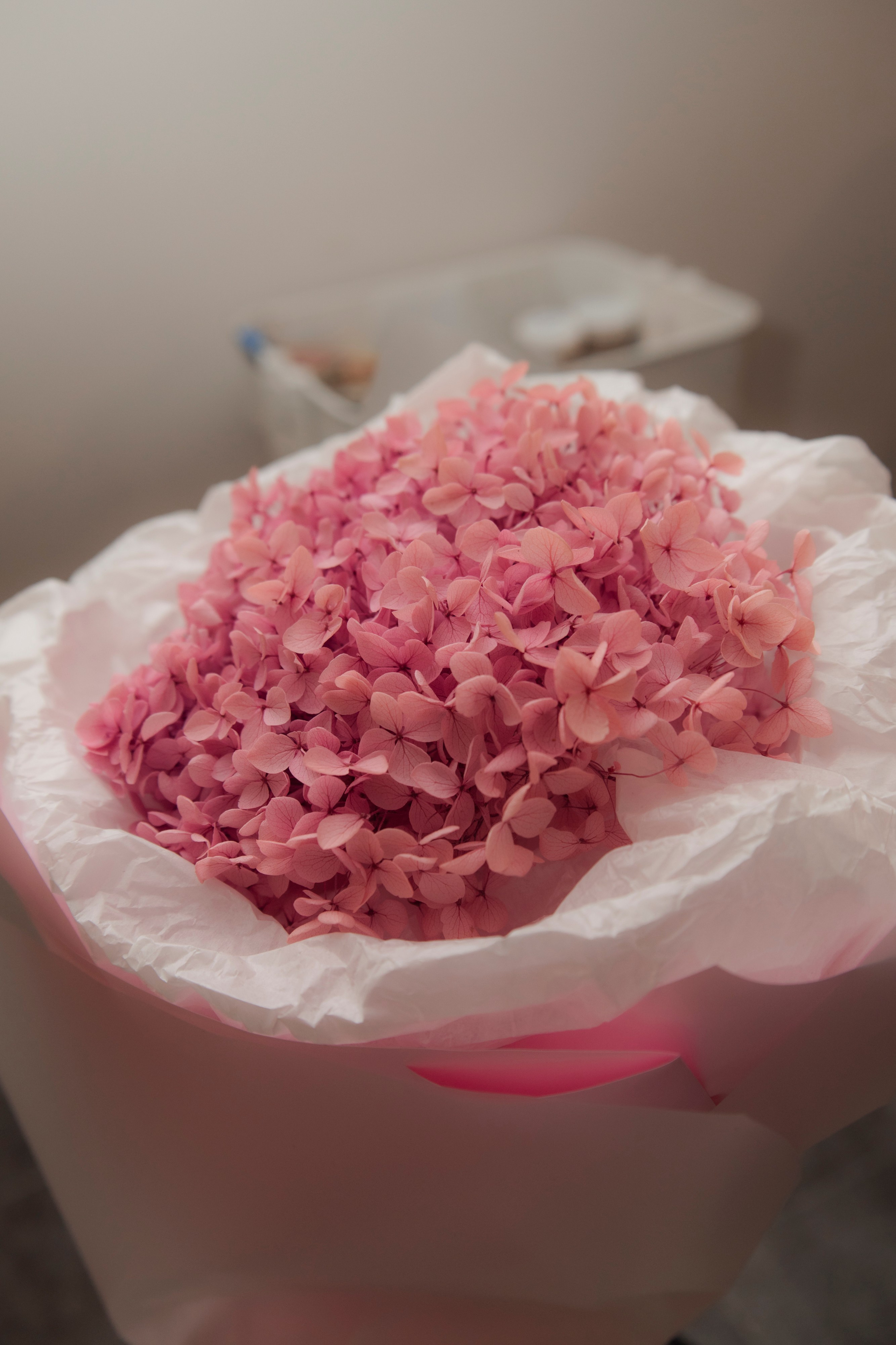 День рождения в Изо Бюро. Фотограф Новосибирск