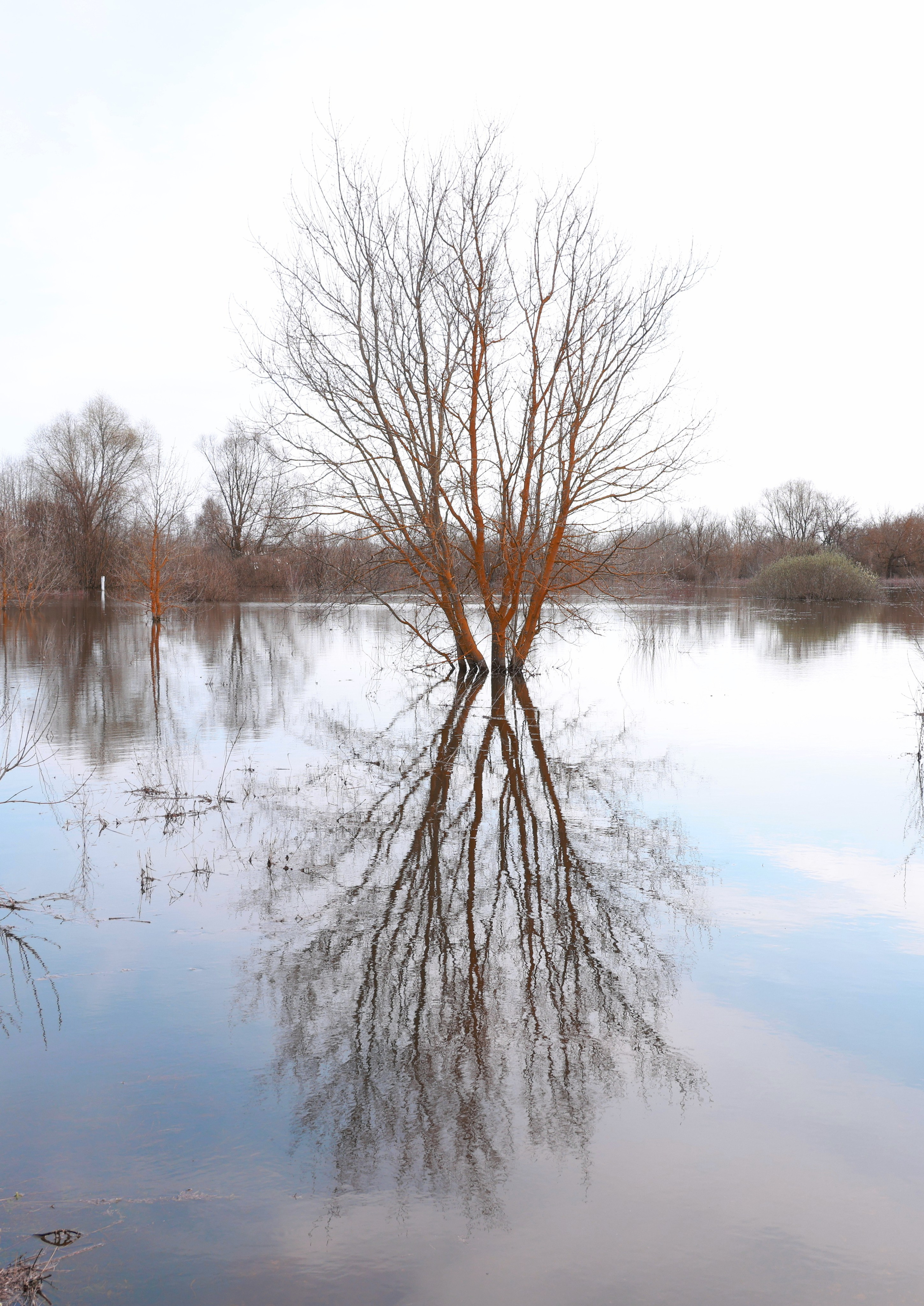 Фотохудожник BID