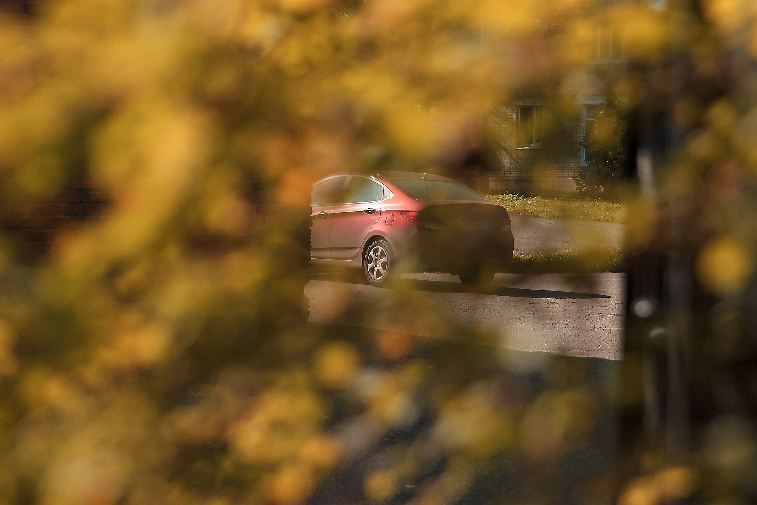 Проскользнуть в неведомое. Аmat Victoria Сuram