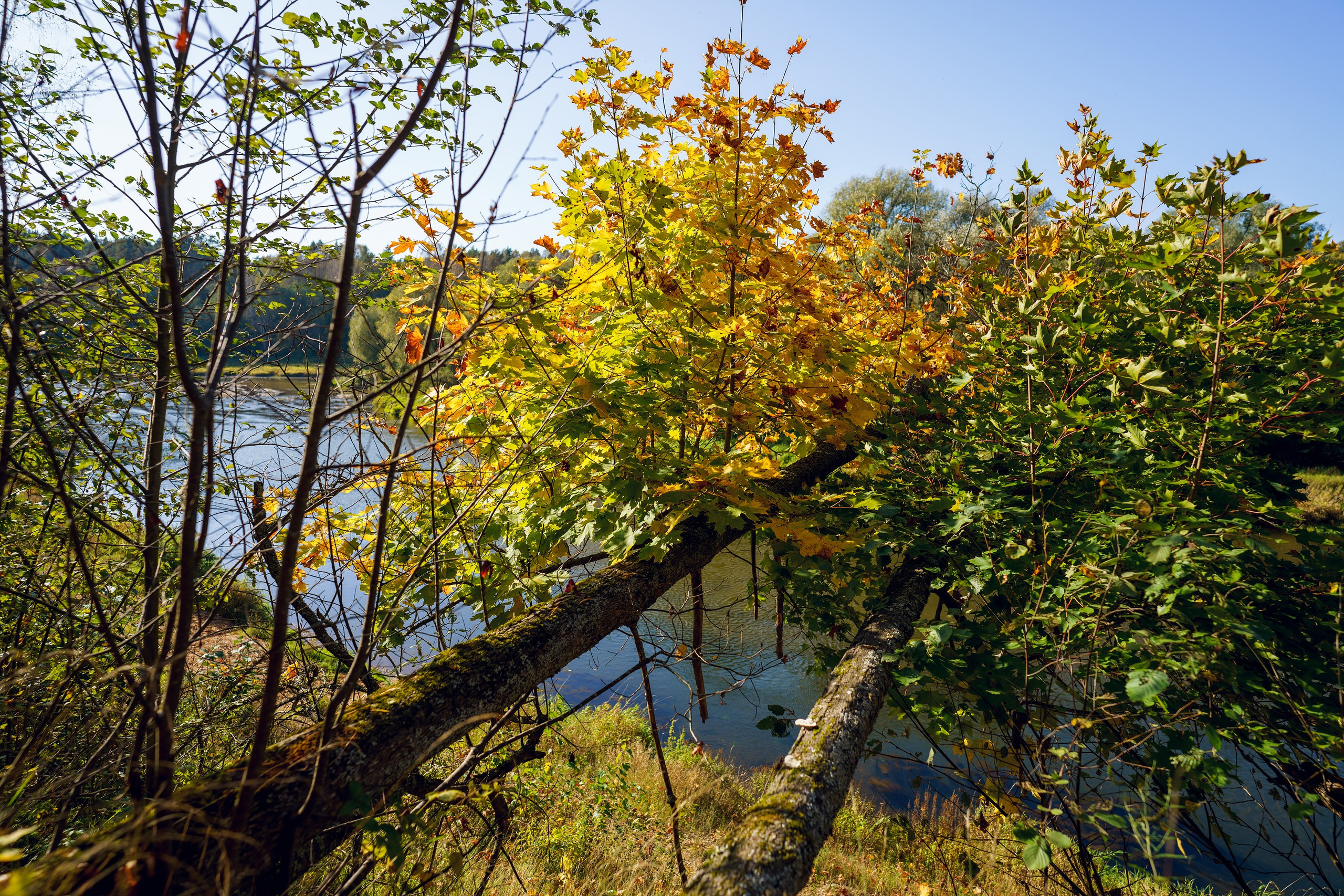 Фотографии Большая Калужская Тропа. Фотограф спортивные события, недвижимость, турбизнес
