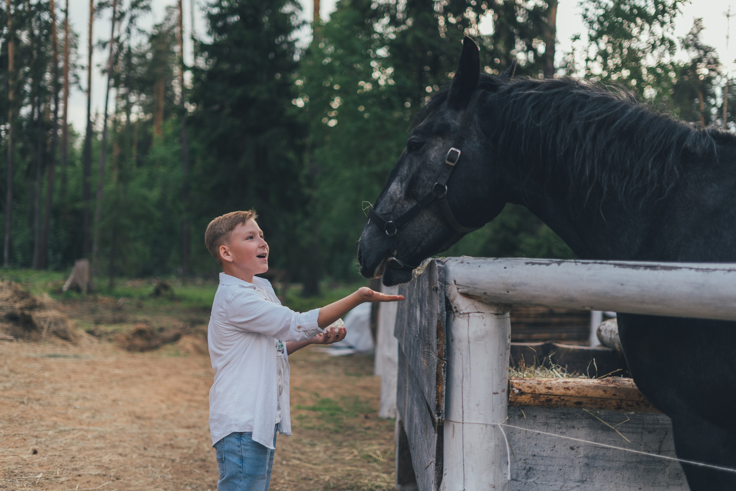 Профессиональный семейный фотограф в Московской области — Наталья Дукалова. Наталья Дукалова фотограф Щелково Королев Пушкино Москва Балашиха