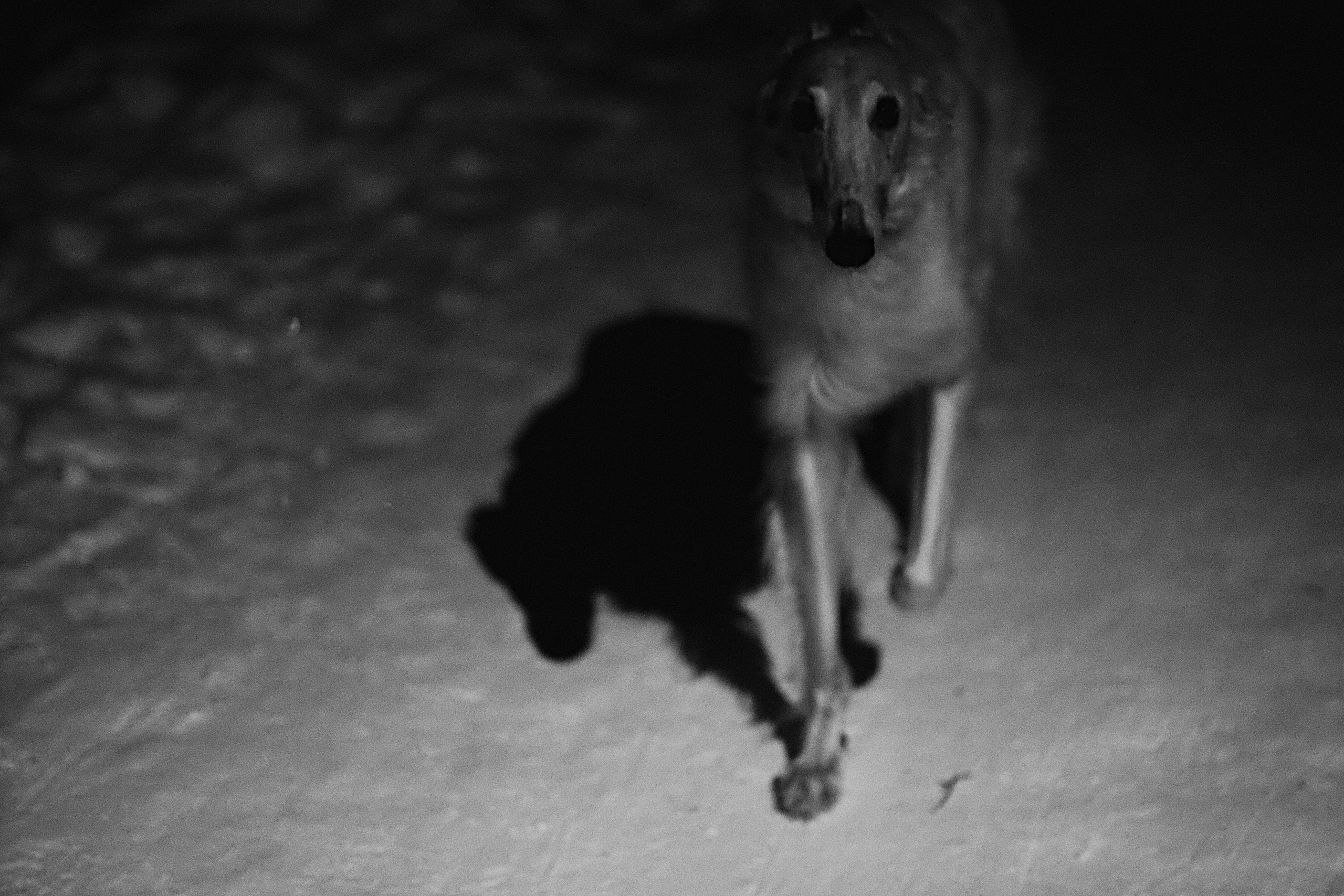ЧБ. Фотограф-любитель из Кирова Андрей Погребняк