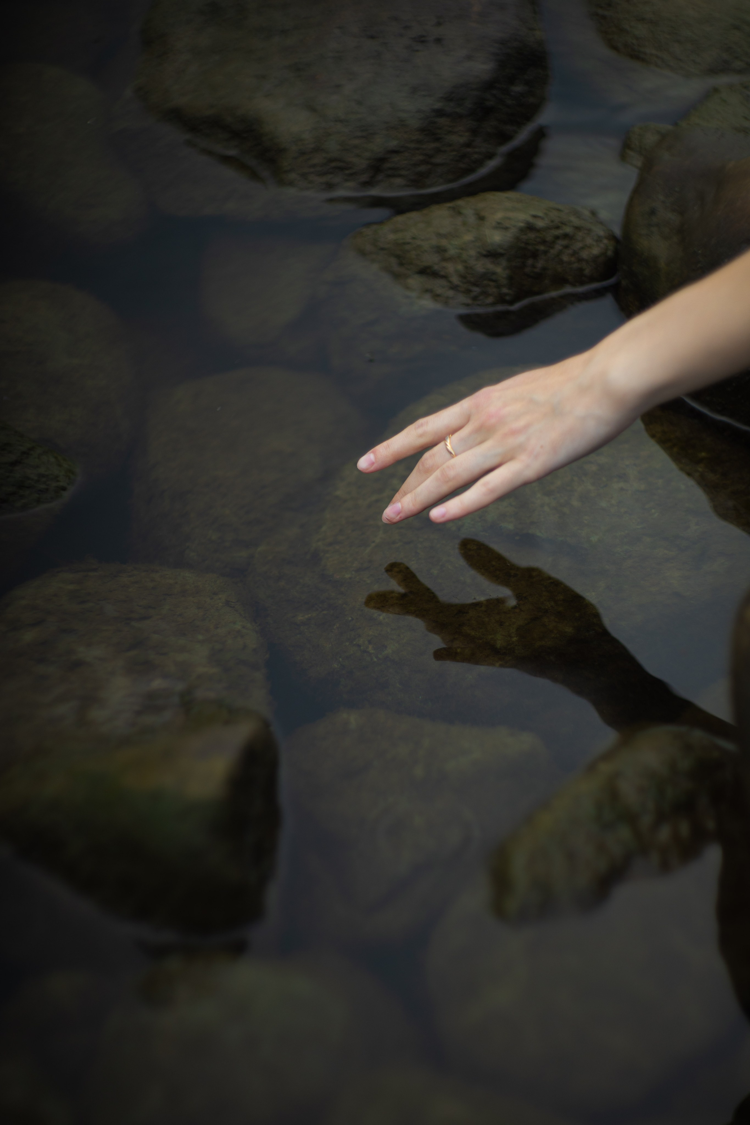 Весна в Коломенском. Юлия Башкатова, сказочный фотограф, Москва