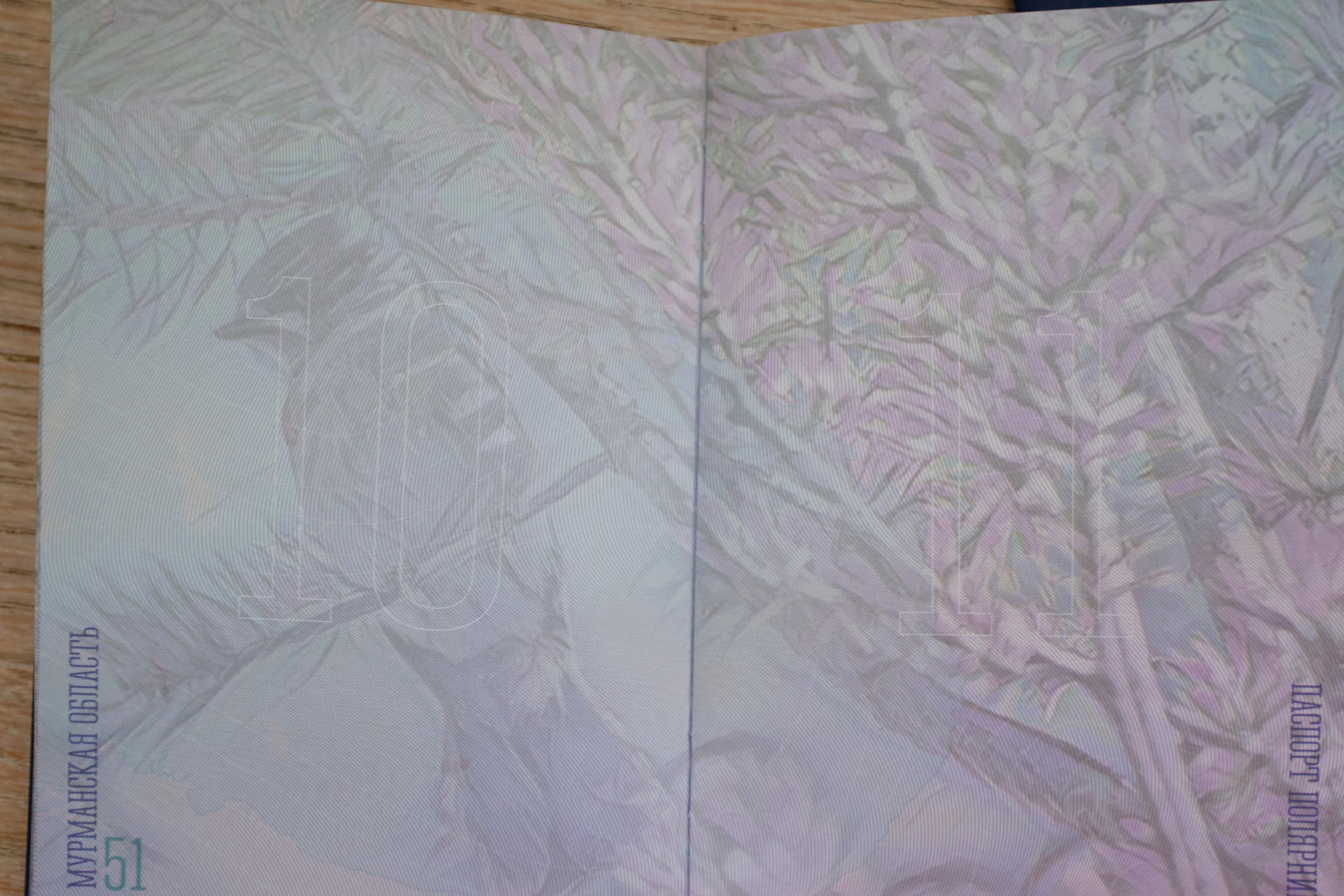 Поездка в Мурманск. Заметки и фото. Елена Павленко. Фотограф. Москва