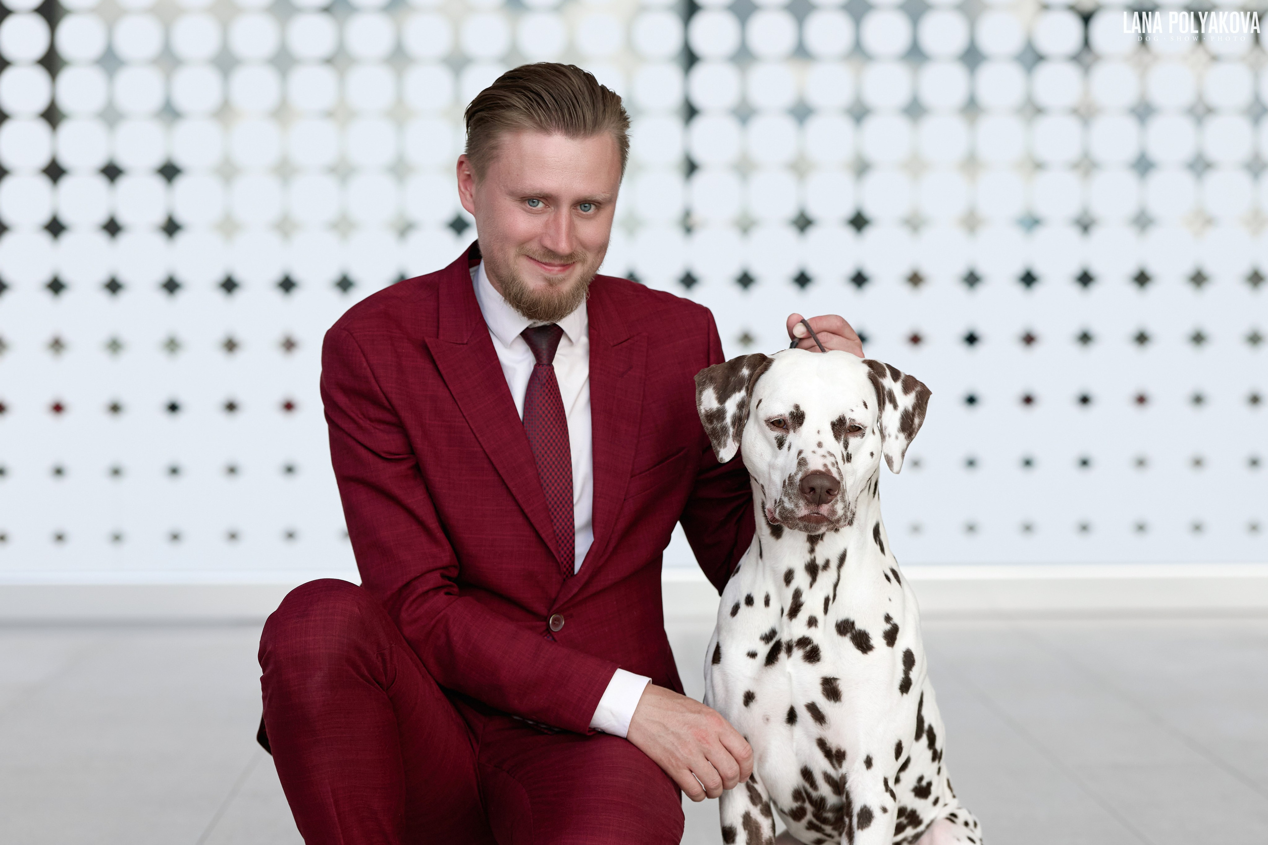 Как подготовить собаку к выставке: чек-лист для фото. ФОТОГРАФ-АНИМАЛИСТ l LANA POLYAKOVA