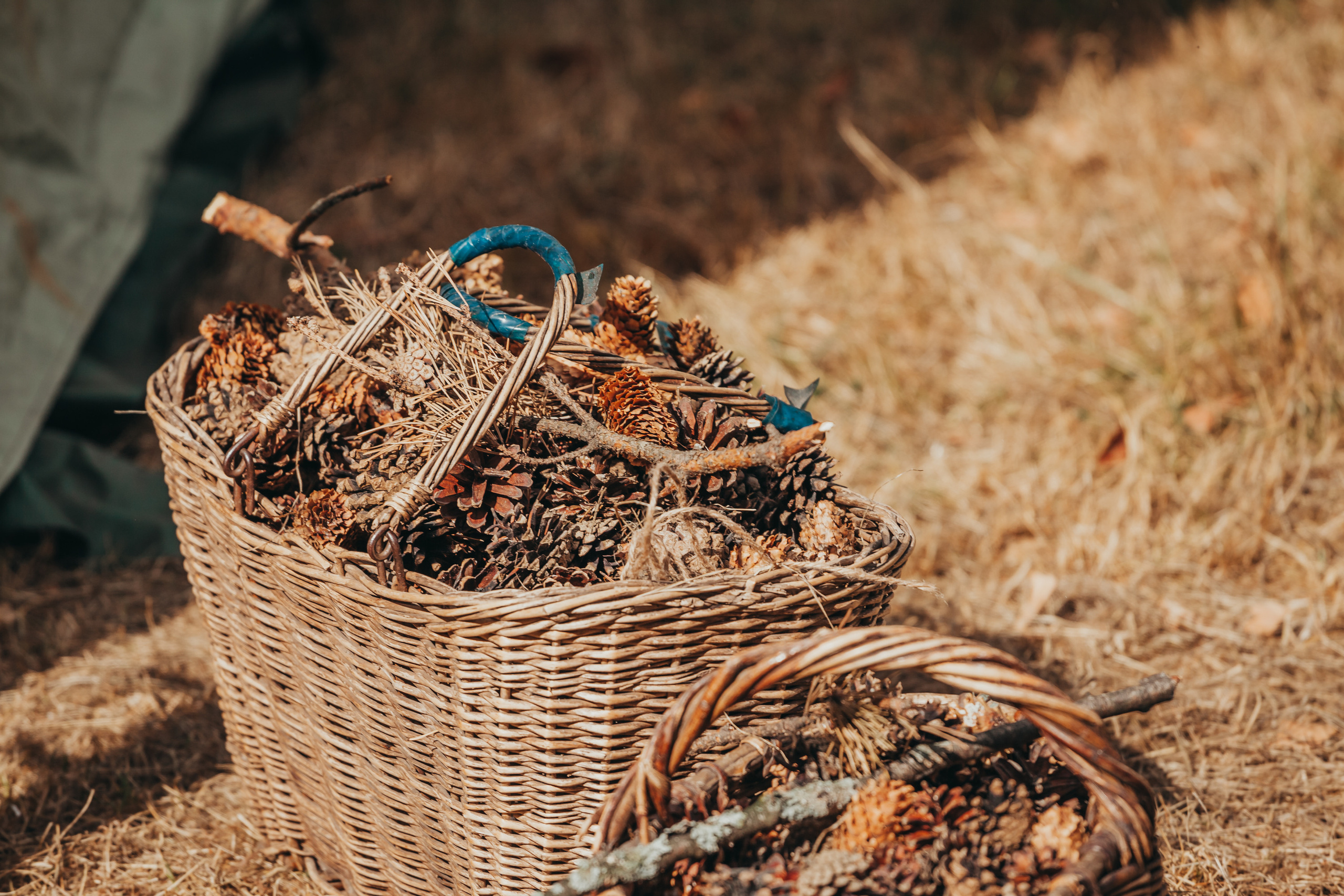 Фестиваль «Ребята нашего двора» в Обновленном Труде. Фотограф Москва и область
