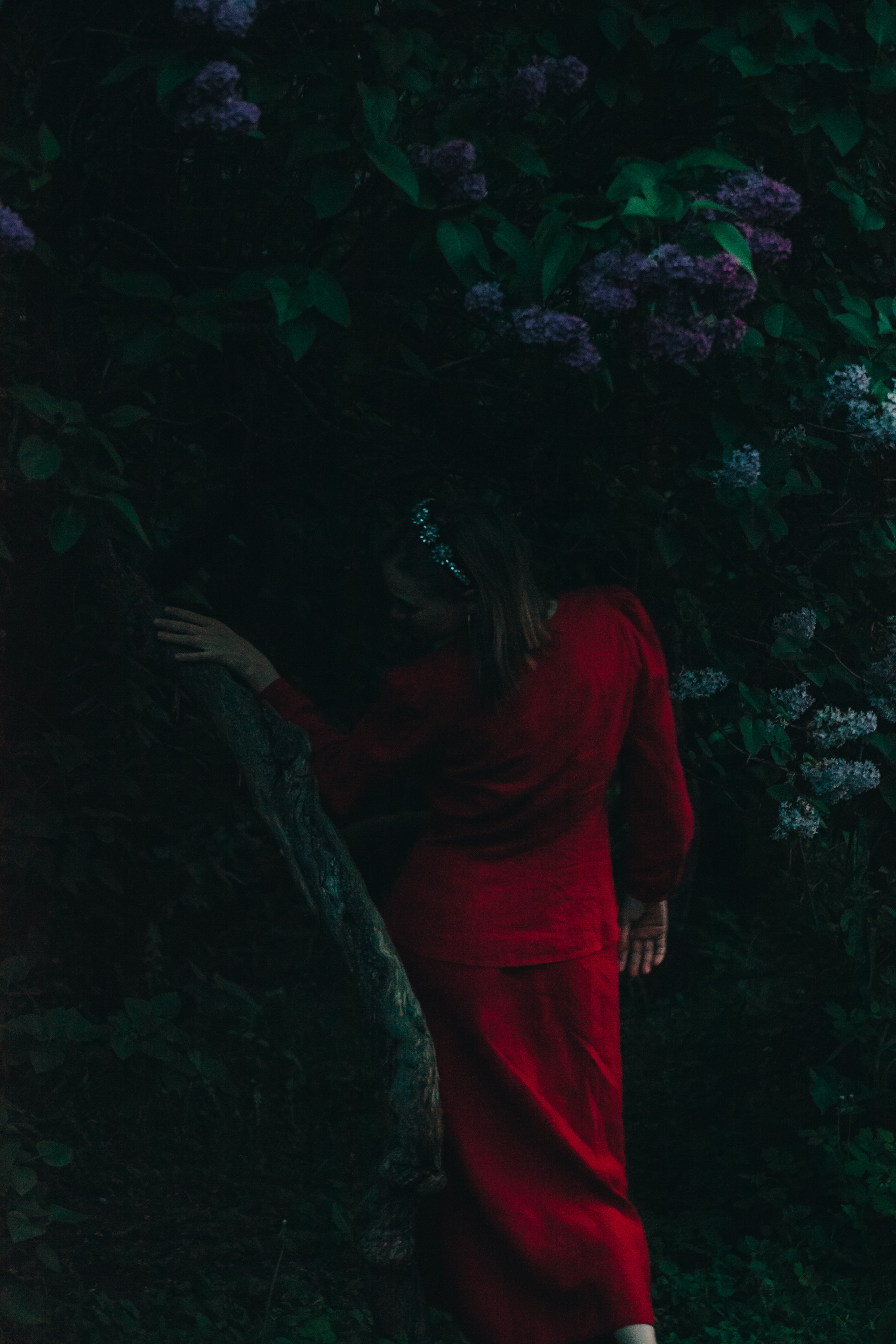 Сиреневый сад. Фотограф Москва и область