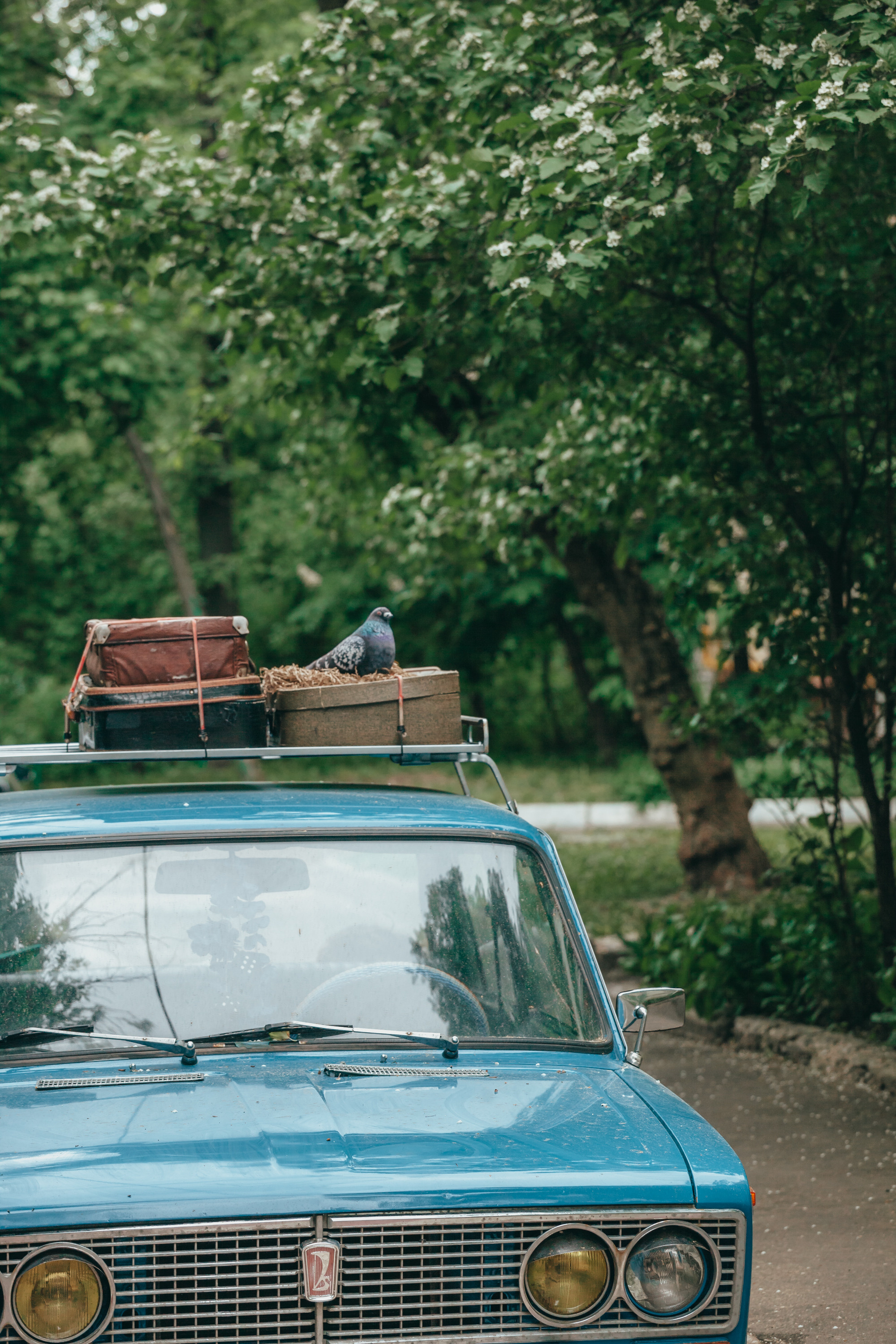 Юбилей Посохинских дворов. Фотограф Москва и область