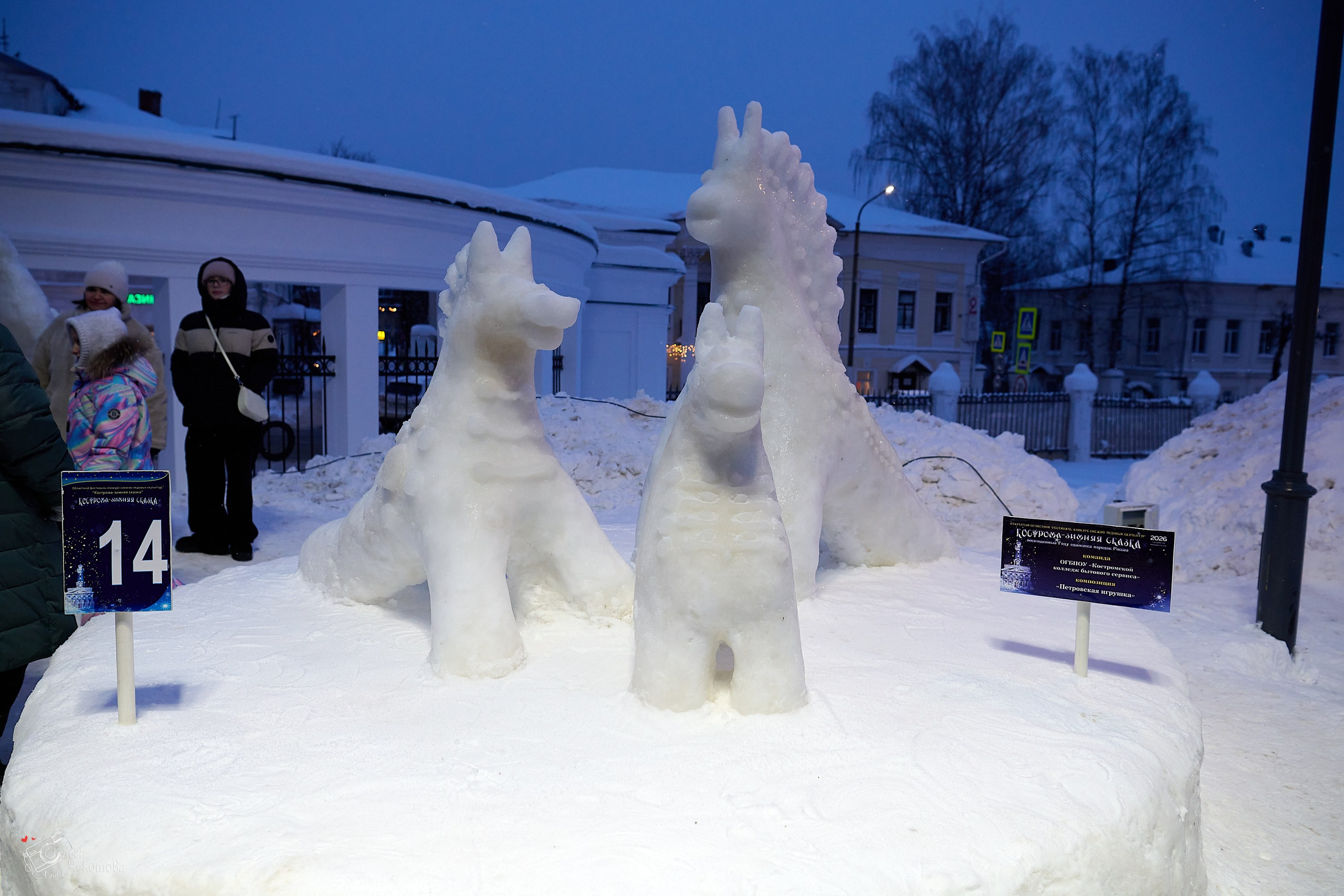 Кострома — зимняя сказка. Ольга Чёкотова (Фотограф Кострома)