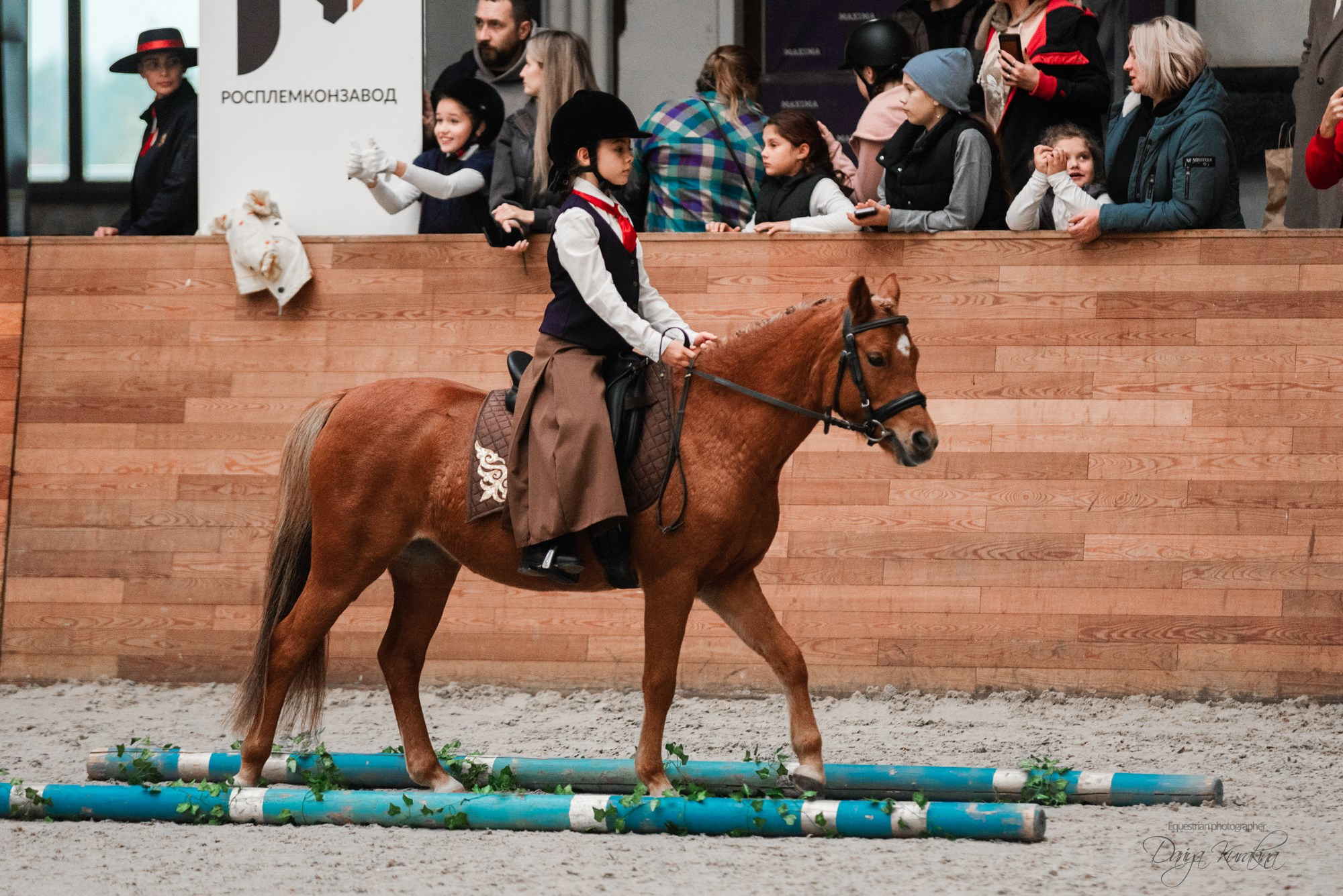 8-я международная выставка Конная Россия. Конный фотограф Куракина Дарья • Фотосессии с лошадьми