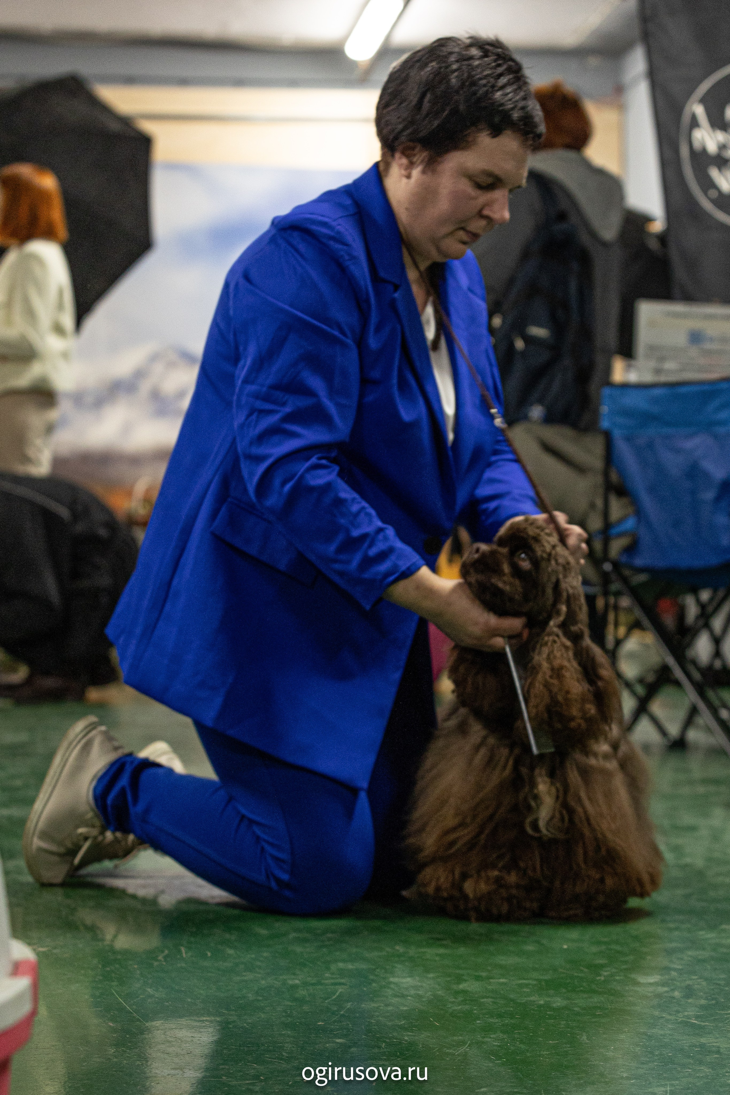 РОО КЛЖ «Олимп"+"Империя"+"Виктория».Выставка собак. Фотограф Ольга Гирусова «Пантерочка» Москва