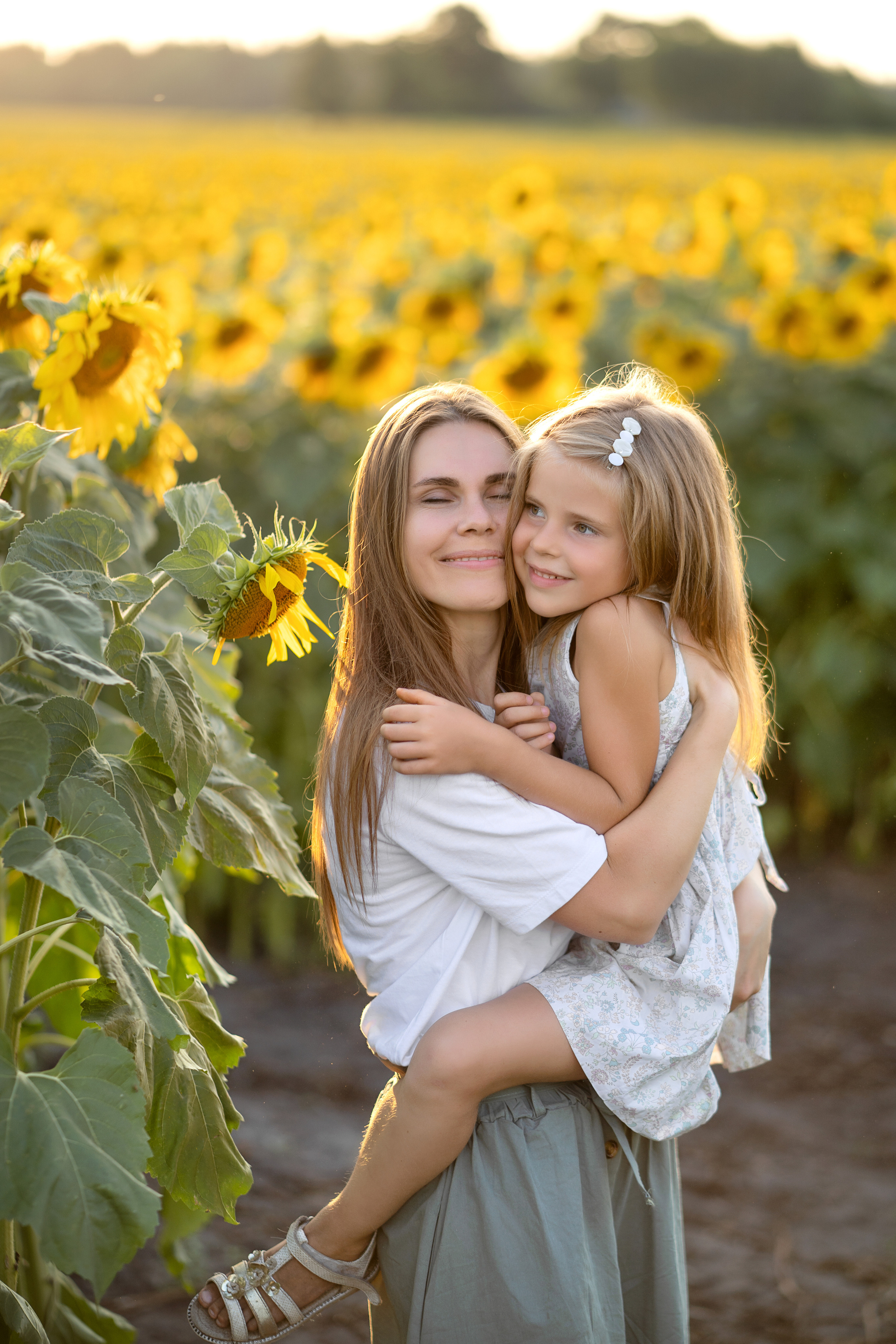 Подсолнухи. Семейный и свадебный фотограф Минск, Беларусь Анна Орловская