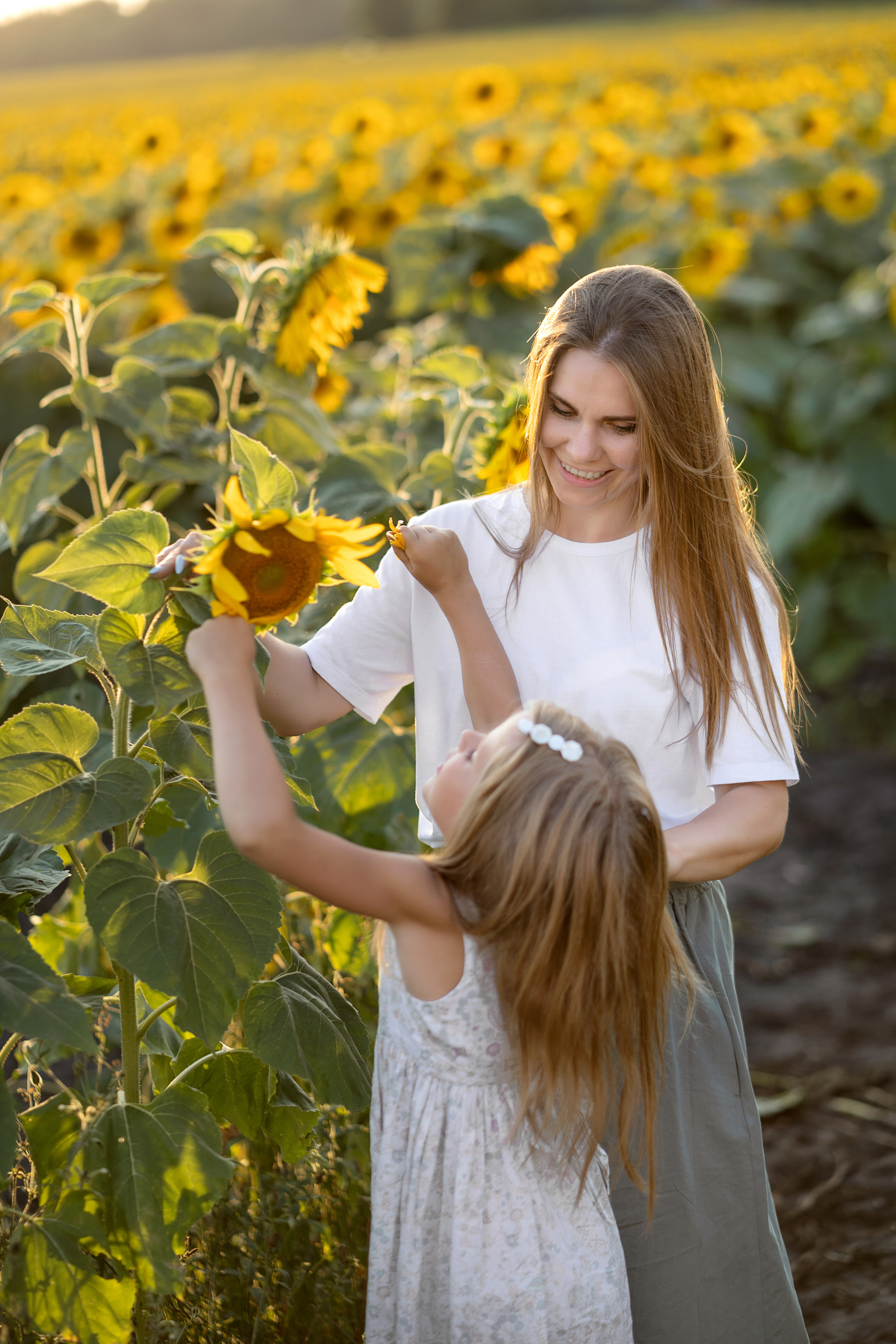 Подсолнухи. Семейный и свадебный фотограф Минск, Беларусь Анна Орловская