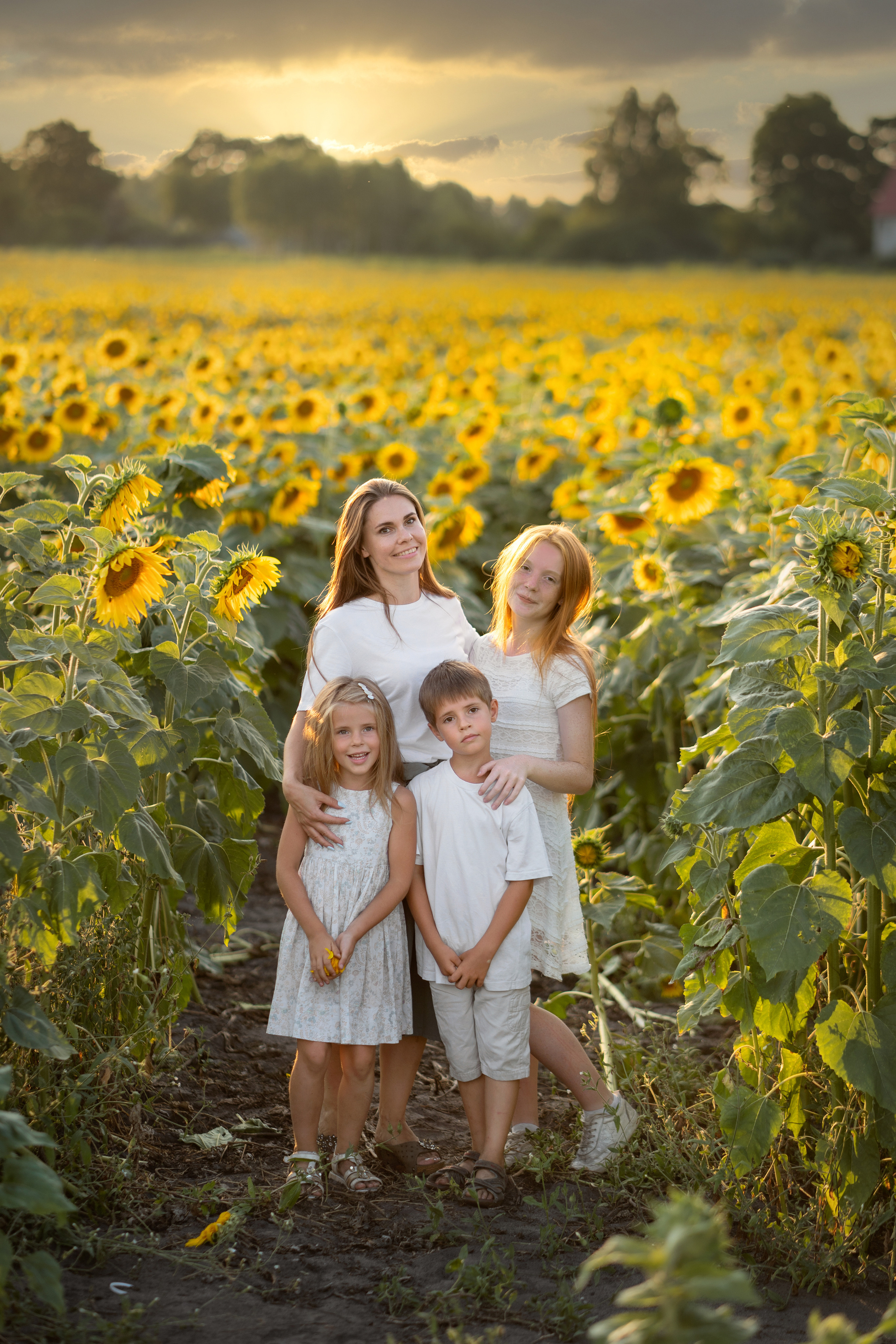 Подсолнухи. Семейный и свадебный фотограф Минск, Беларусь Анна Орловская
