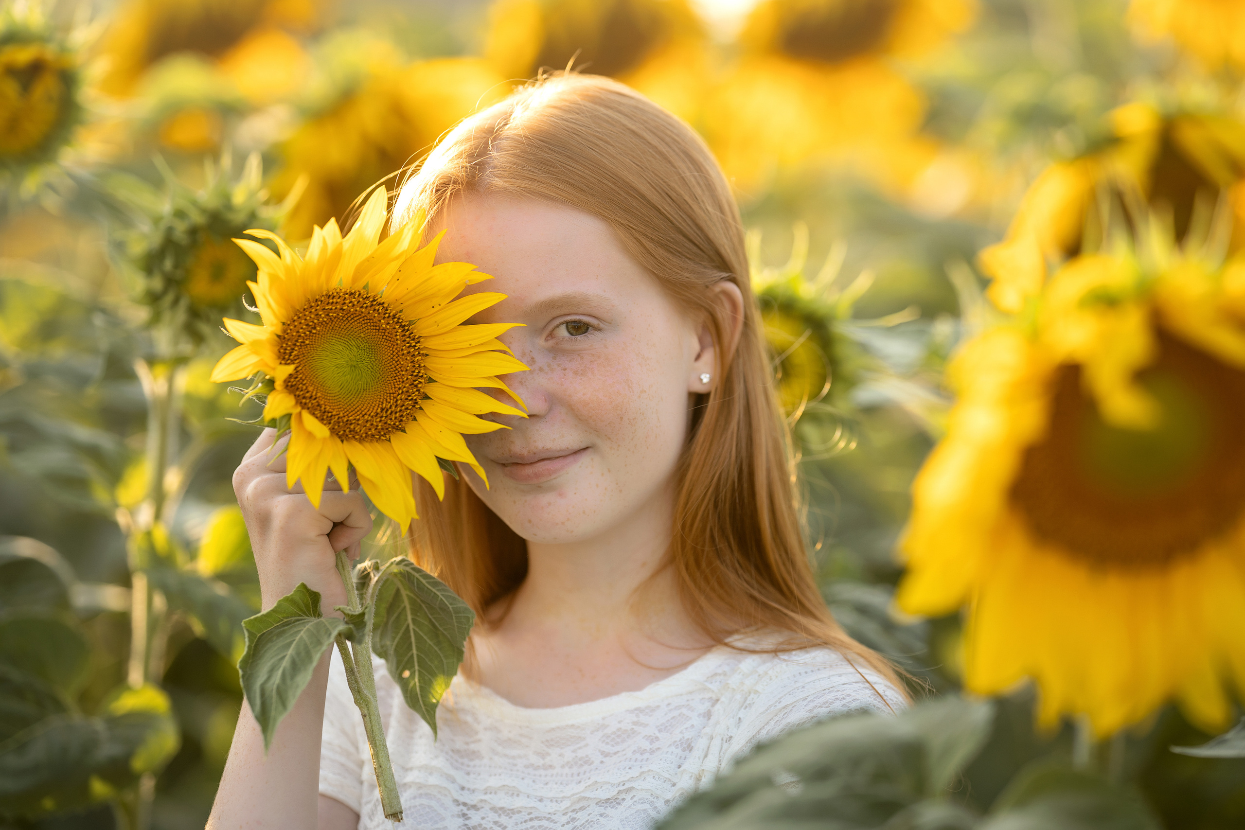 Подсолнухи. Семейный и свадебный фотограф Минск, Беларусь Анна Орловская