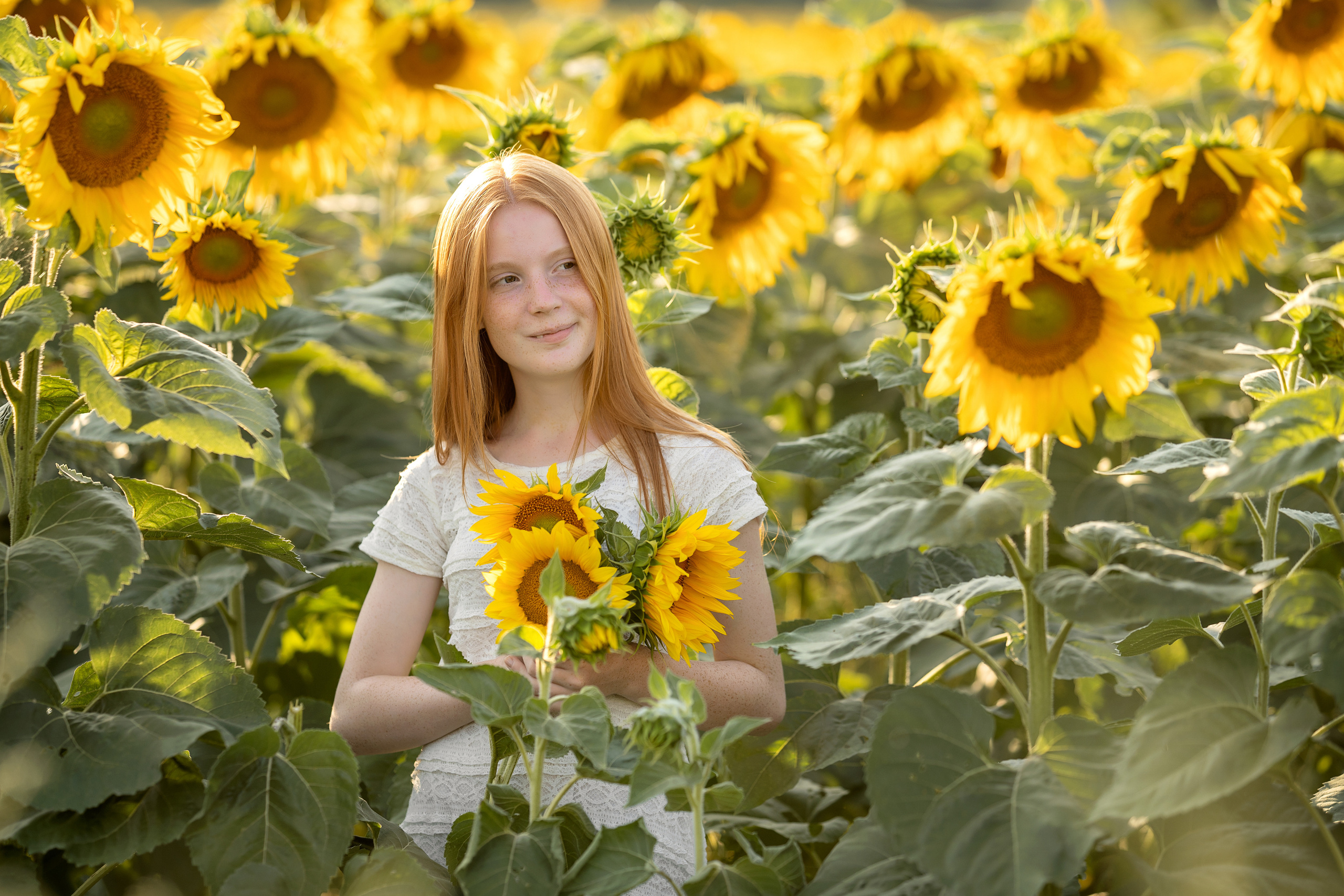 Подсолнухи. Семейный и свадебный фотограф Минск, Беларусь Анна Орловская
