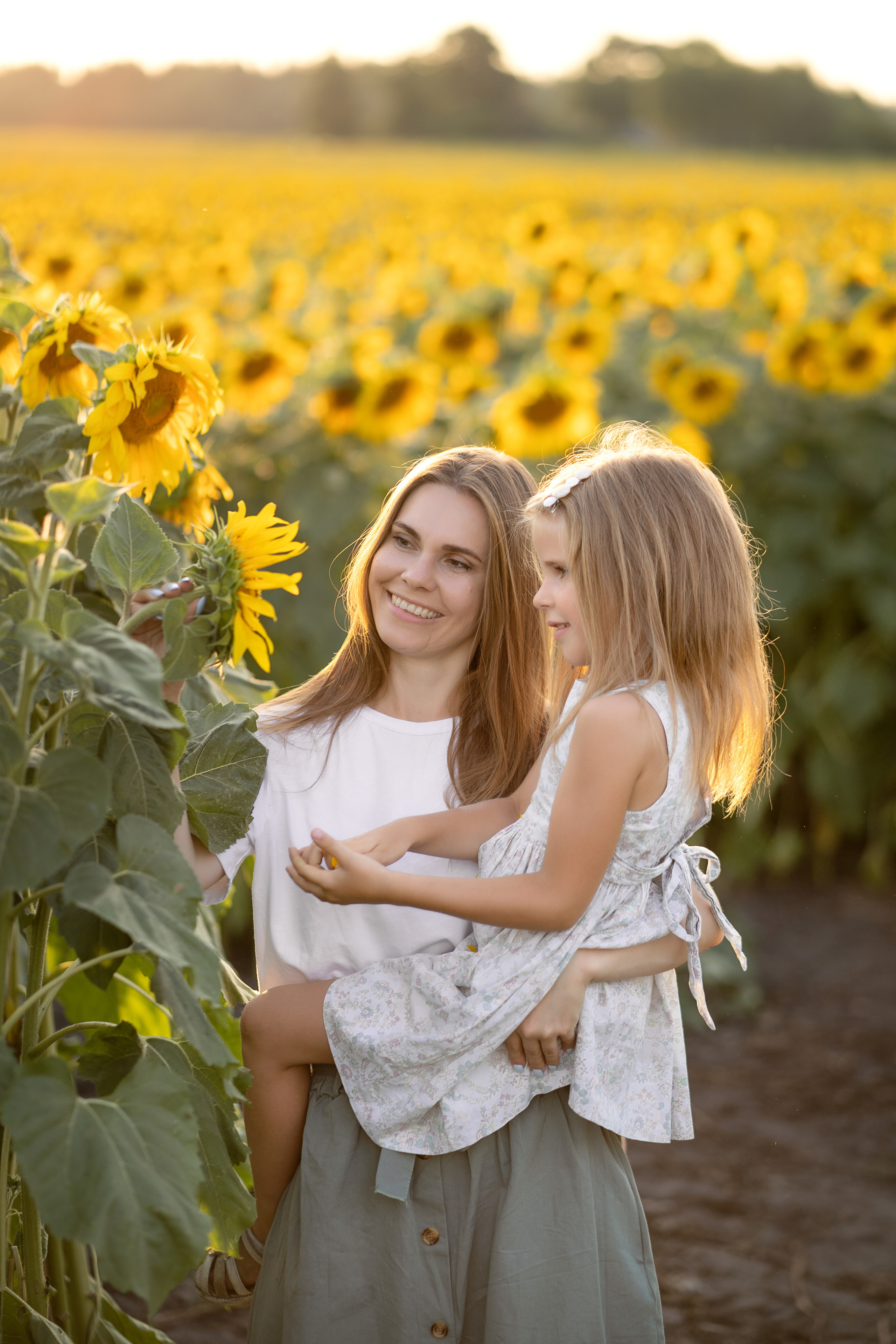 Подсолнухи. Семейный и свадебный фотограф Минск, Беларусь Анна Орловская