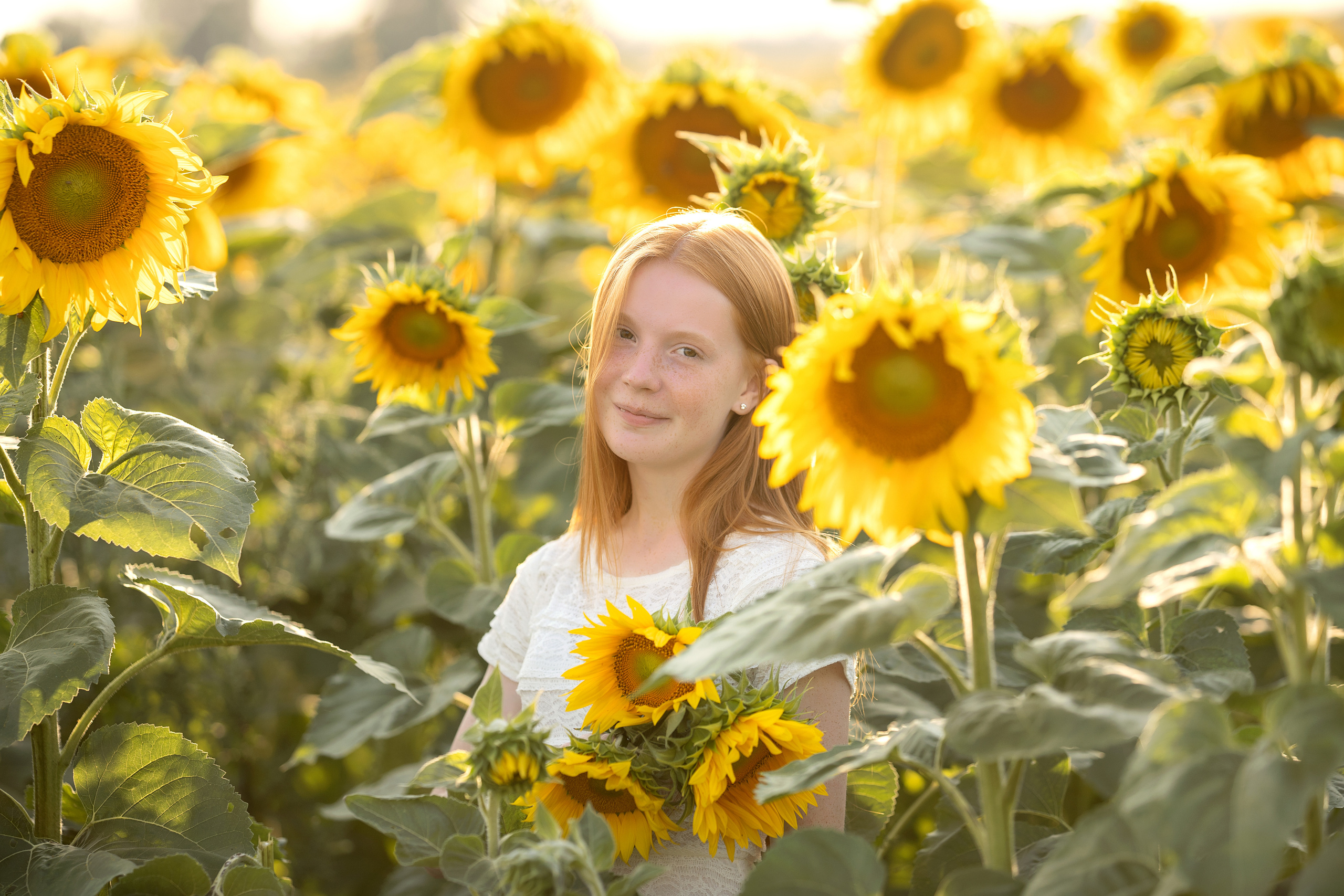 Подсолнухи. Семейный и свадебный фотограф Минск, Беларусь Анна Орловская