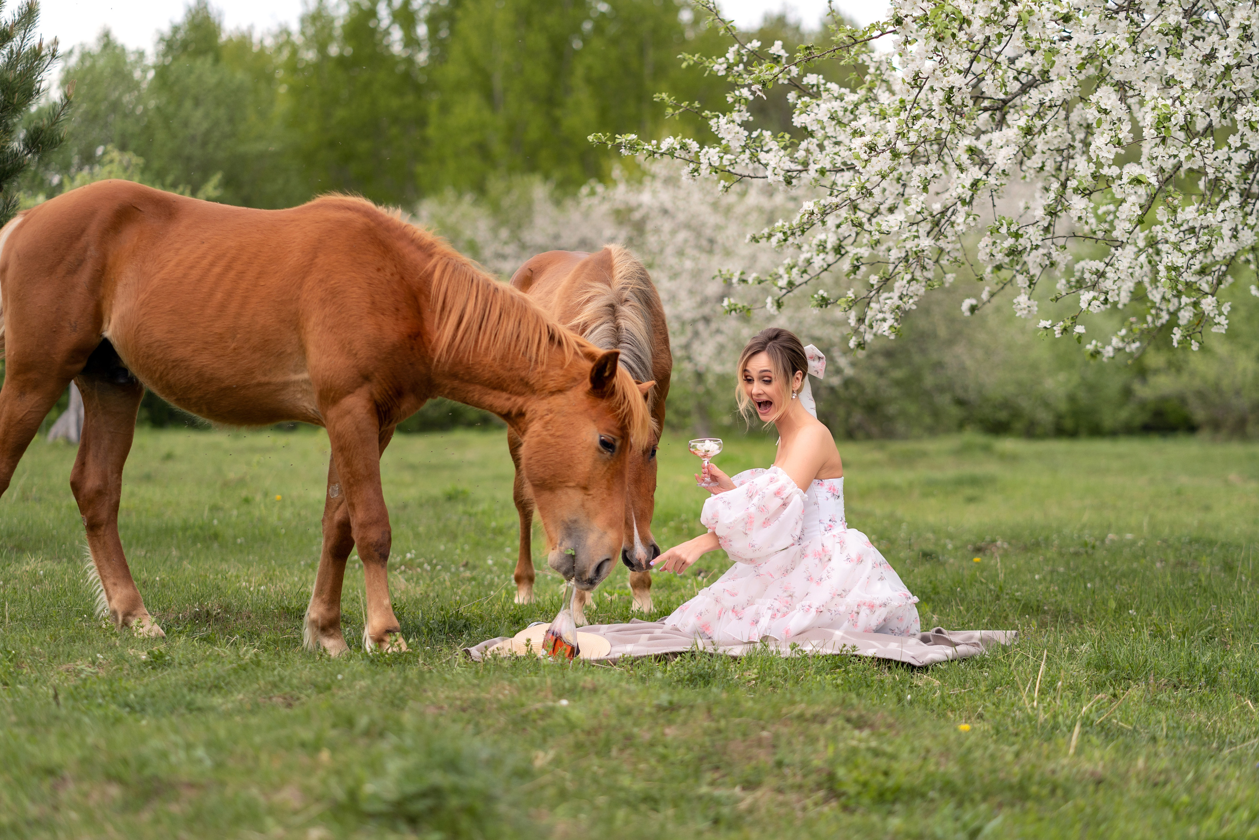 Екатерина. Семейный и свадебный фотограф Минск, Беларусь Анна Орловская
