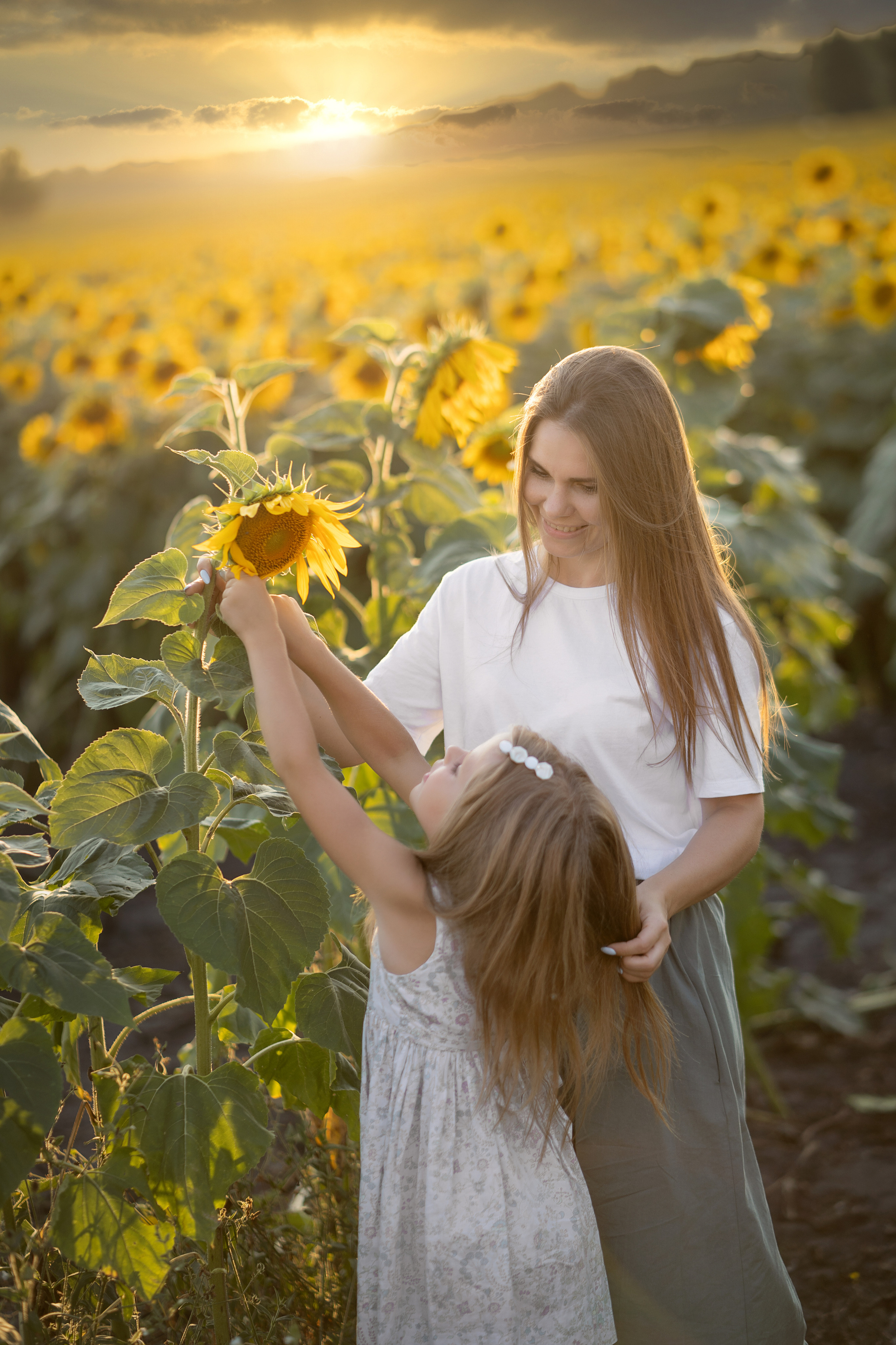 Подсолнухи. Семейный и свадебный фотограф Минск, Беларусь Анна Орловская