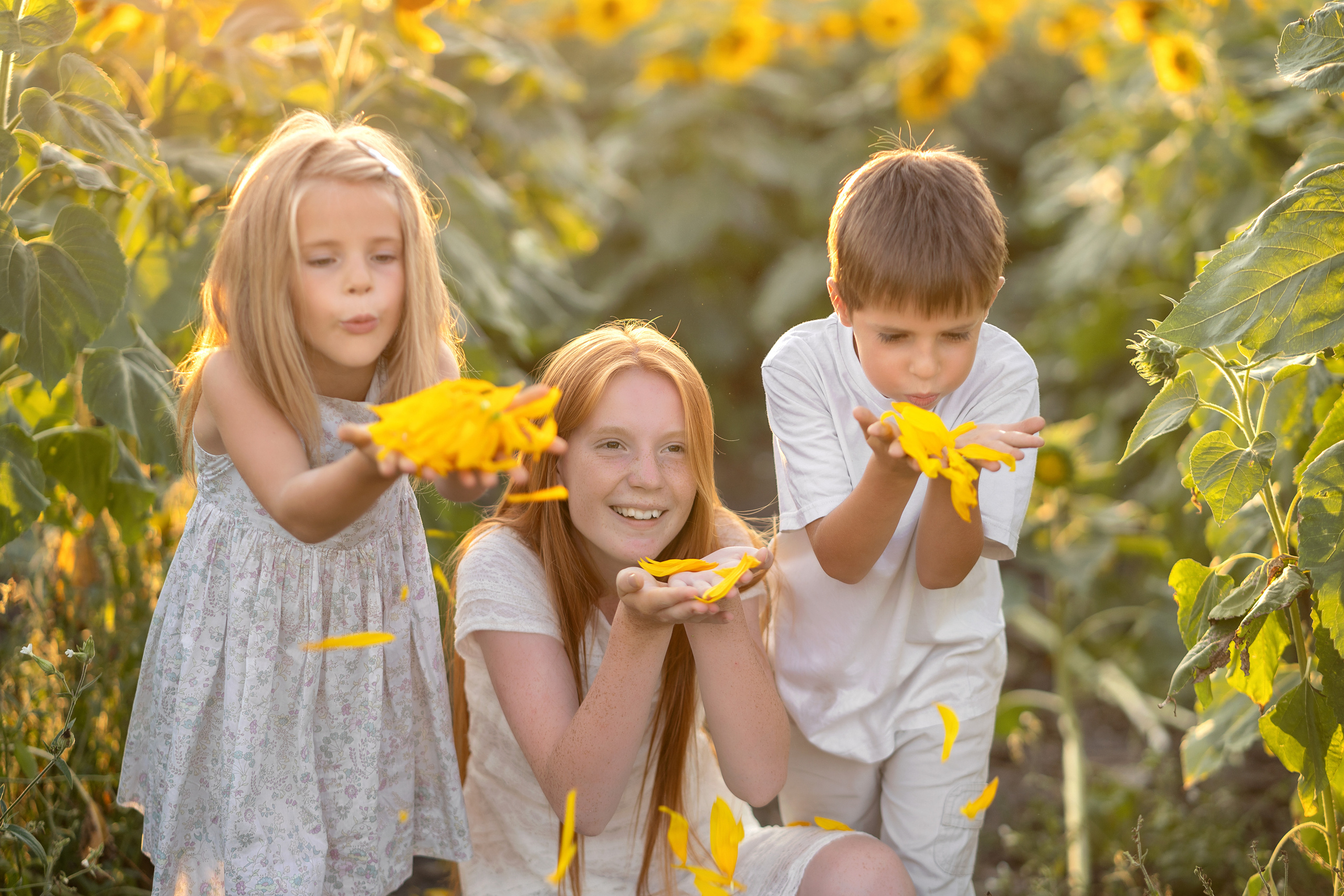 Подсолнухи. Семейный и свадебный фотограф Минск, Беларусь Анна Орловская