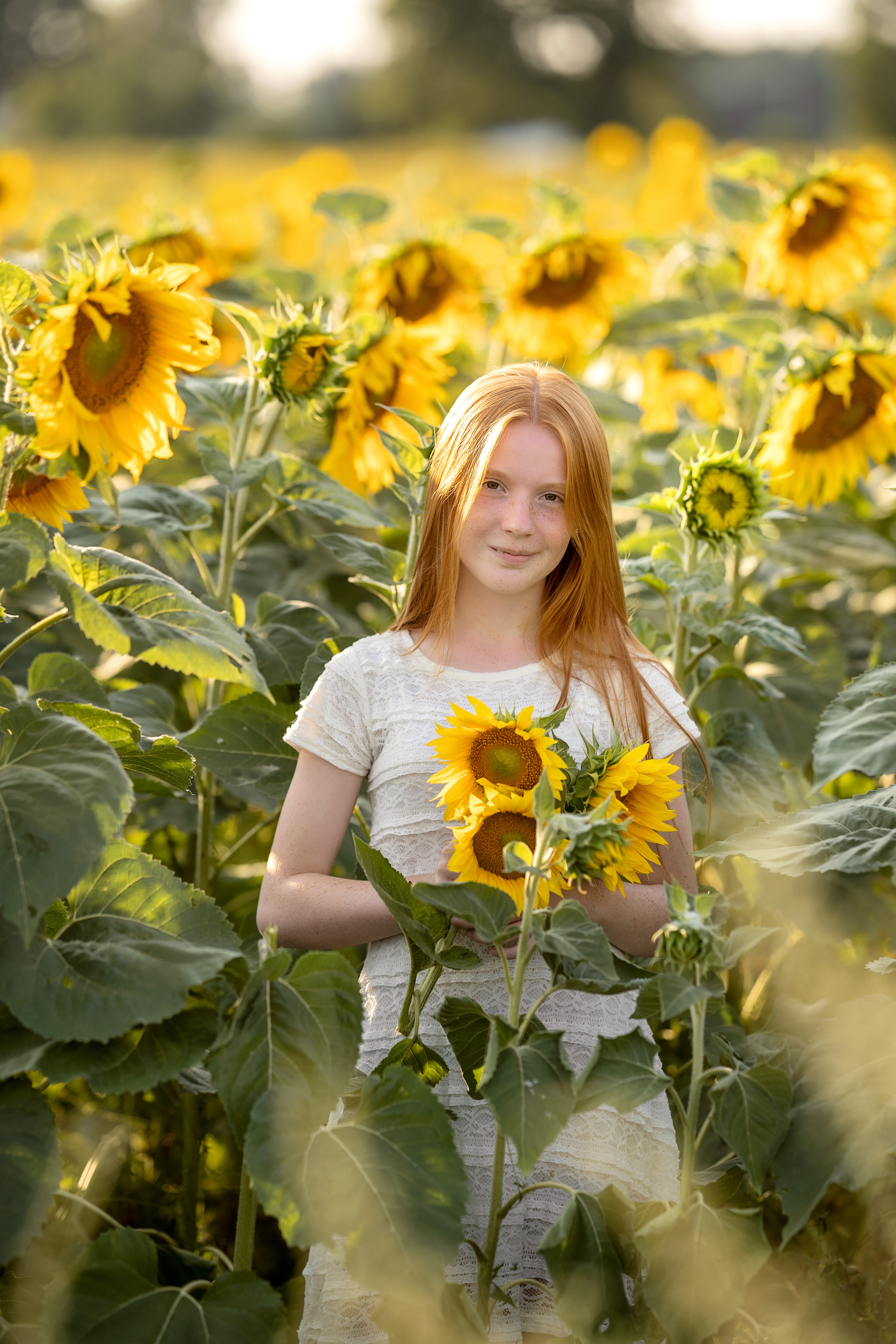 Подсолнухи. Семейный и свадебный фотограф Минск, Беларусь Анна Орловская
