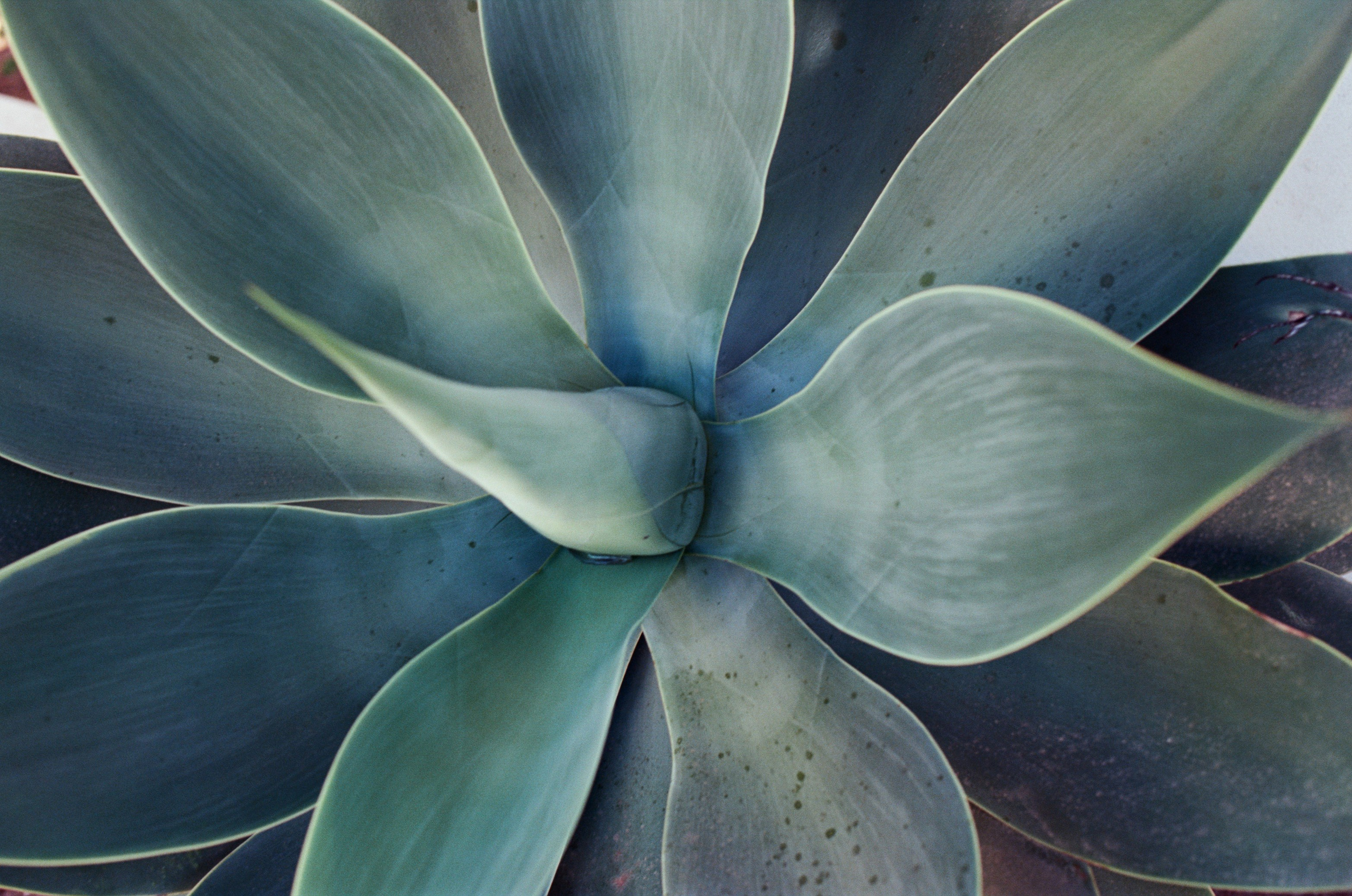 I think i'm ok // portugal, lagos. EVER EXPOSED