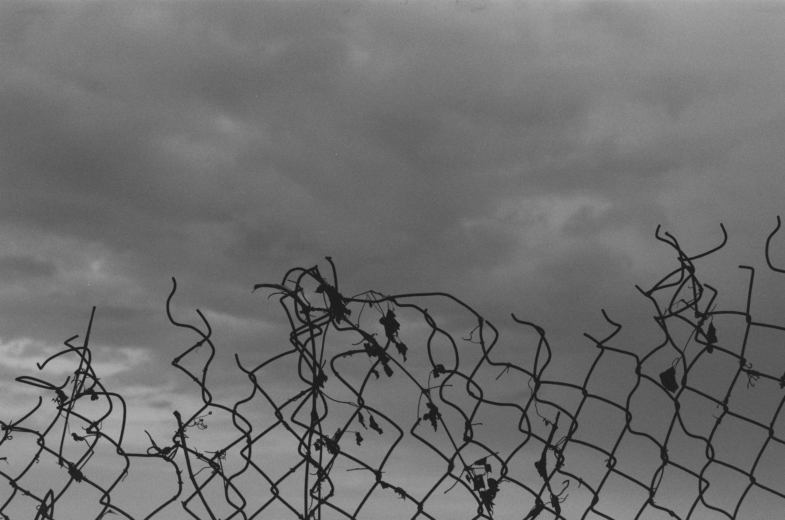 Plastinki // ukraine, crimea III. EVER EXPOSED