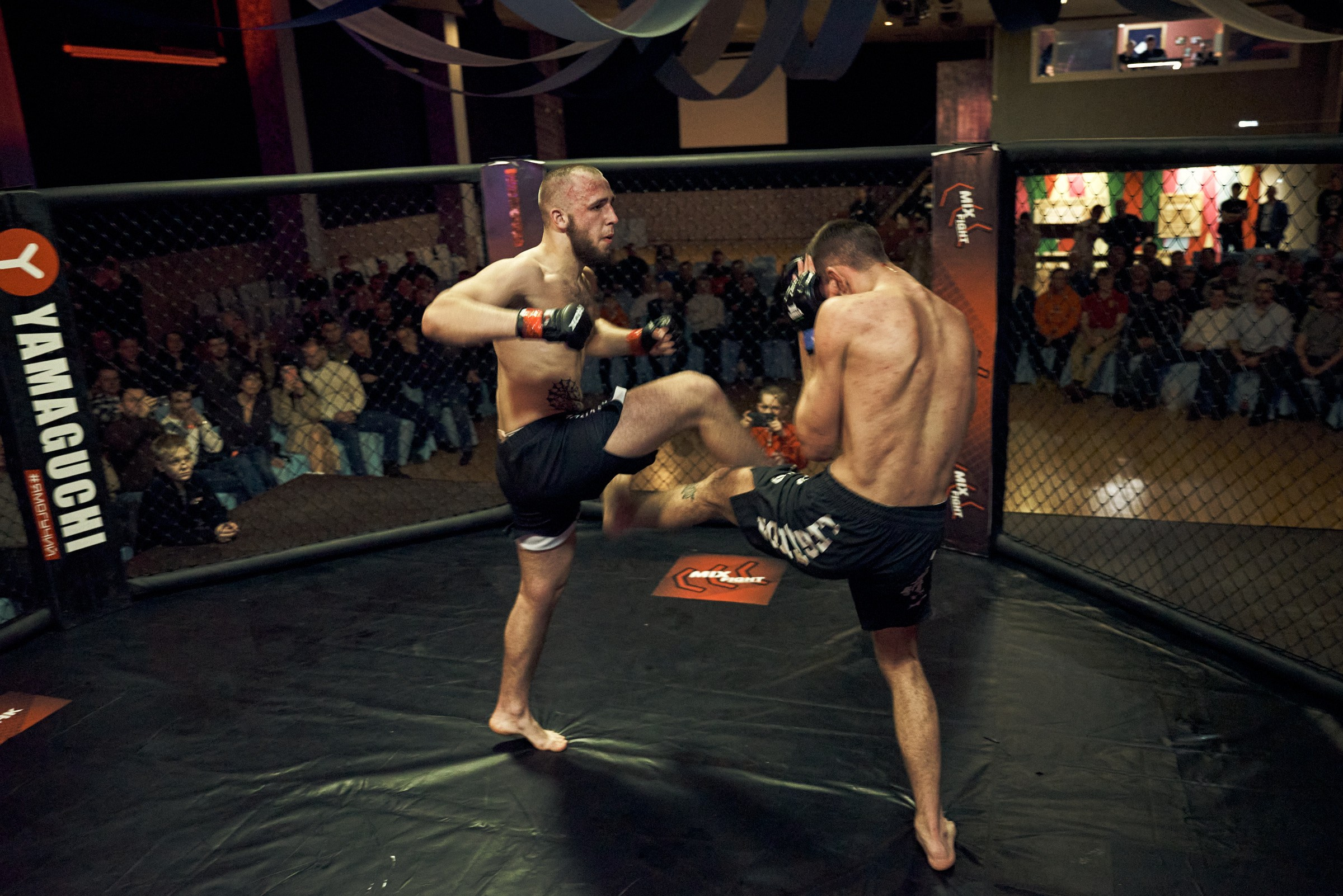 Бои. Маляревич Дмитрий свадебный фотограф