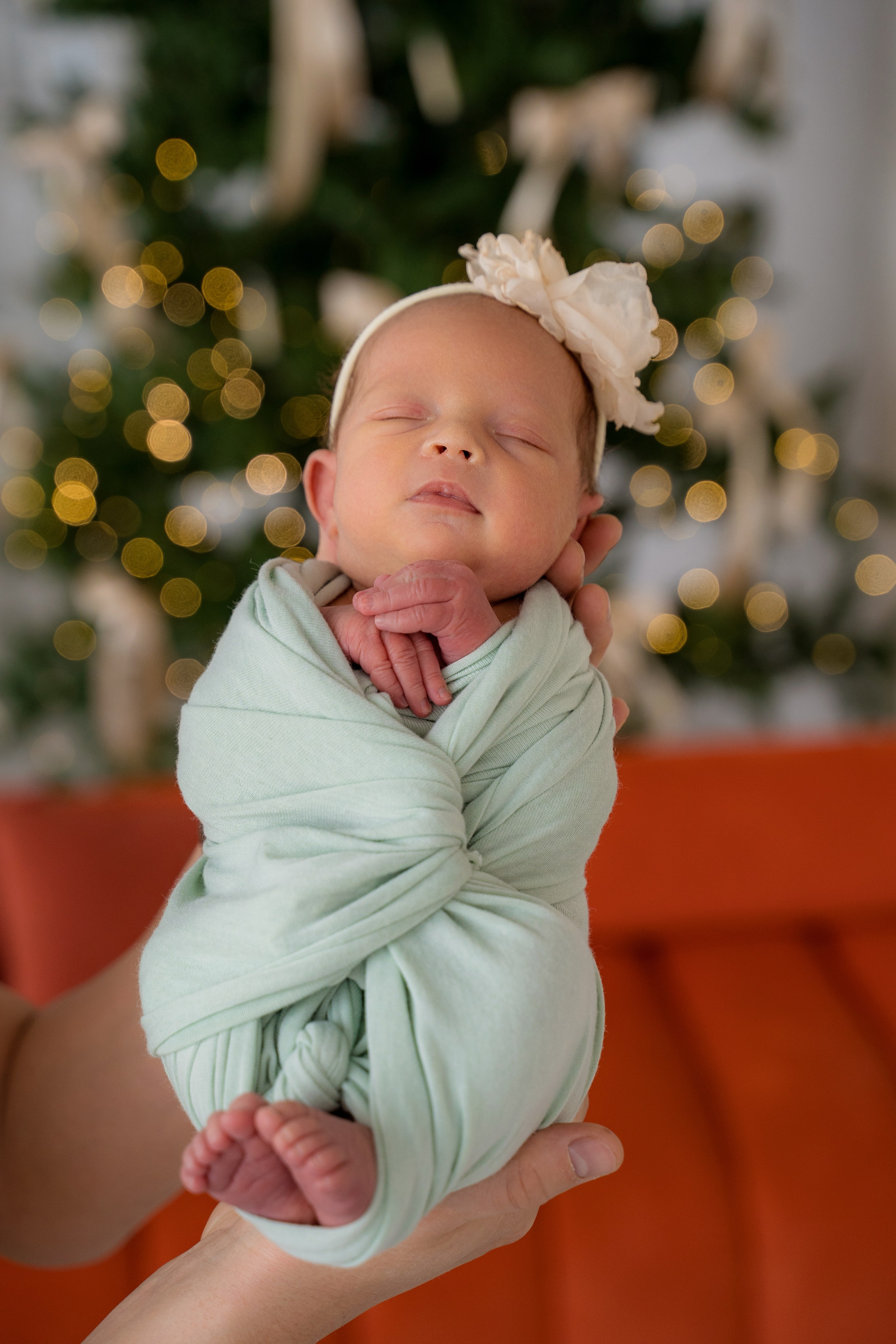 Ньюборн стандарт. Фотостудия Малина в городе Улан-Удэ. Фотограф Ирина Жарникова