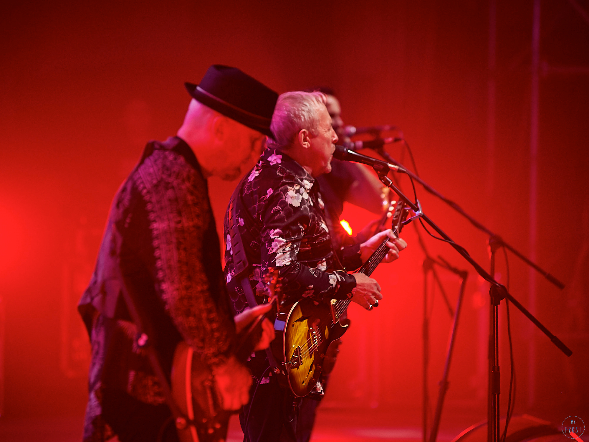 Машина Времени. Фотографии отовсюду и обо всем