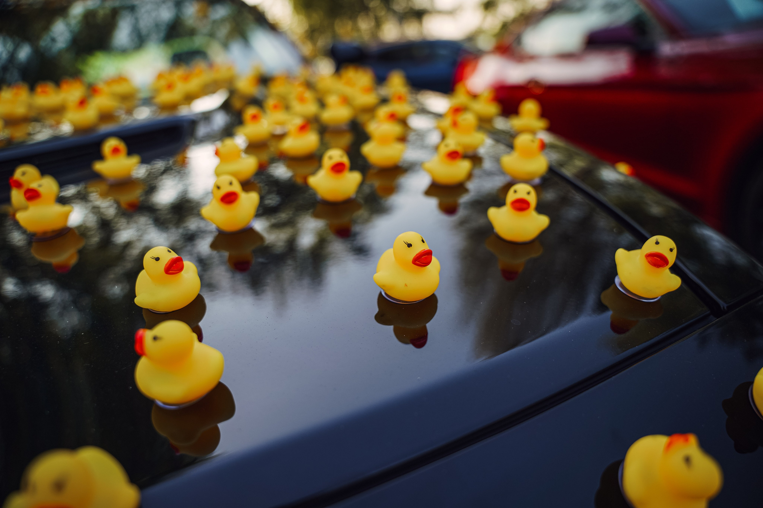 Tuning Open Fest 2025. Автомобильный фотограф Шакая Кирилл