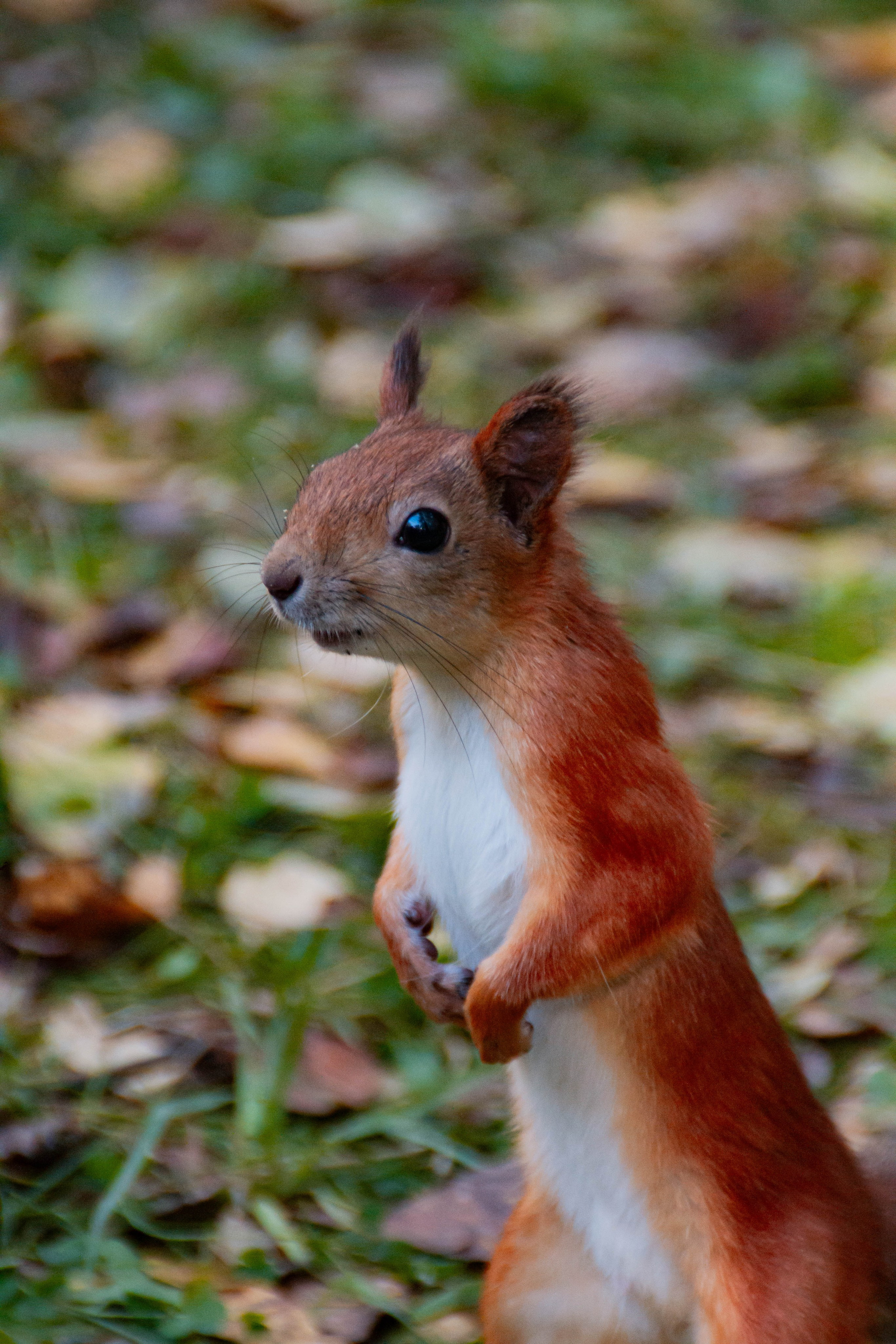 День здоровья в Екатеринбургской академии современного искусства 2025