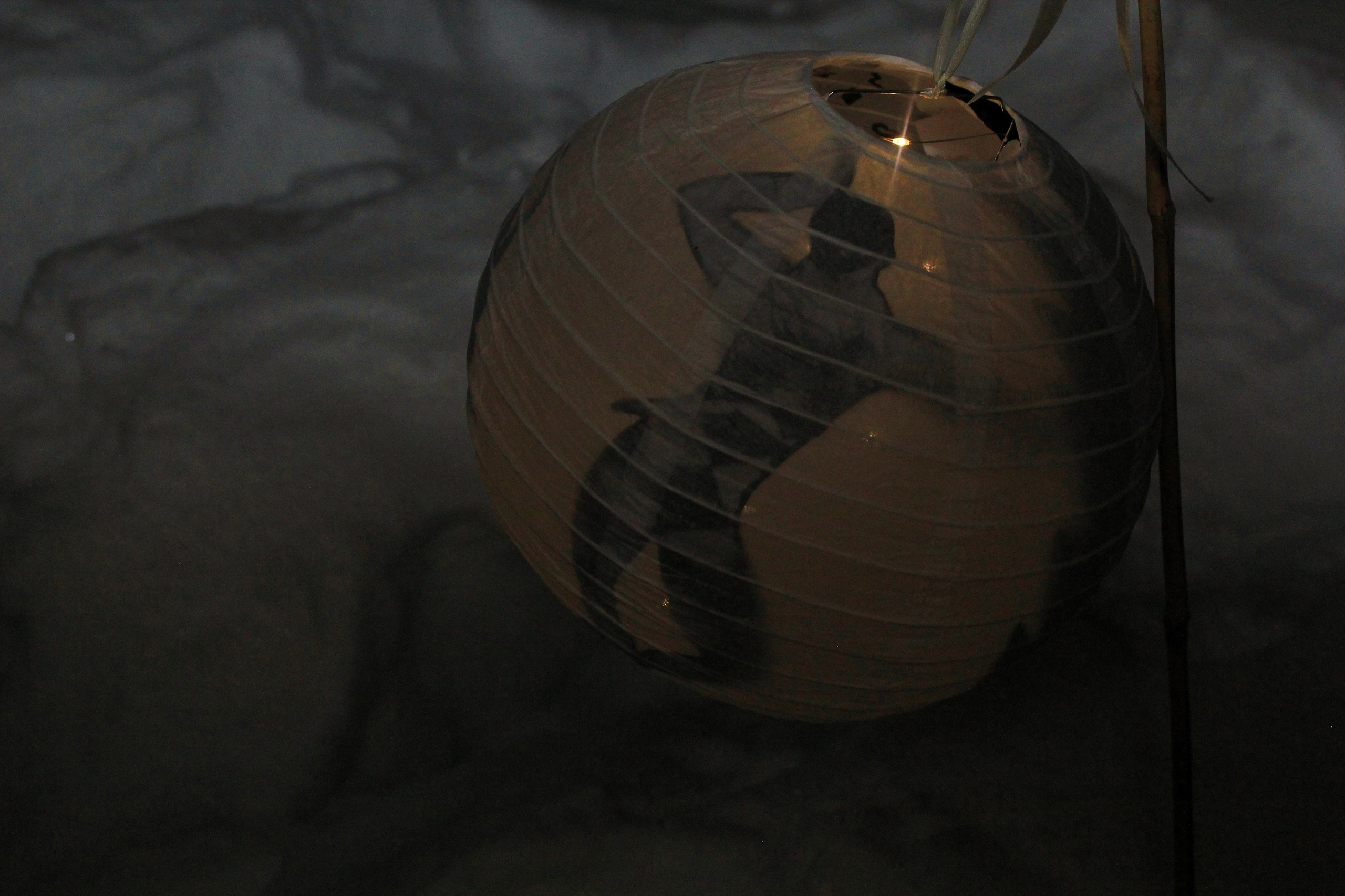 НЕ ТЕМНО 2024