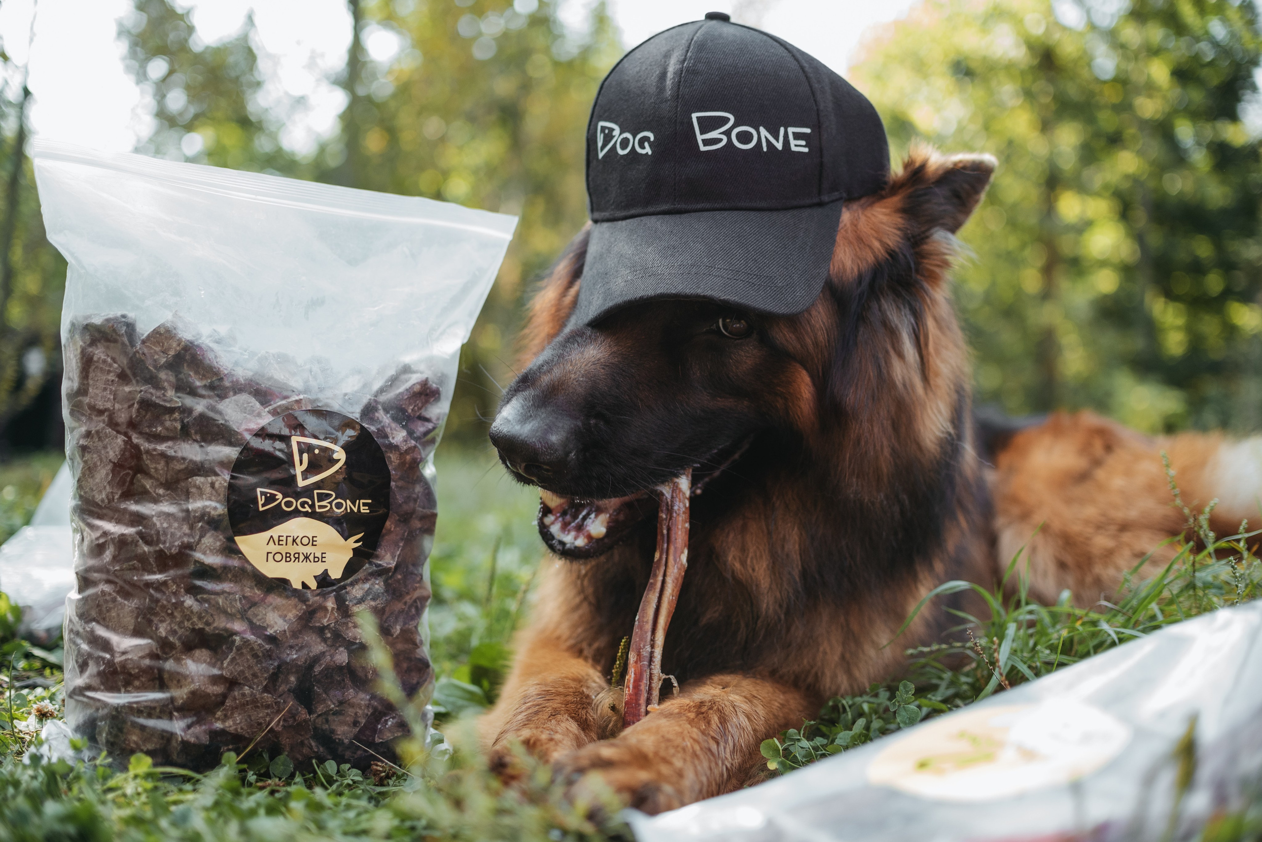 Dog Bone контент. Фотограф-анималист Валерия, Москва, Мытищи