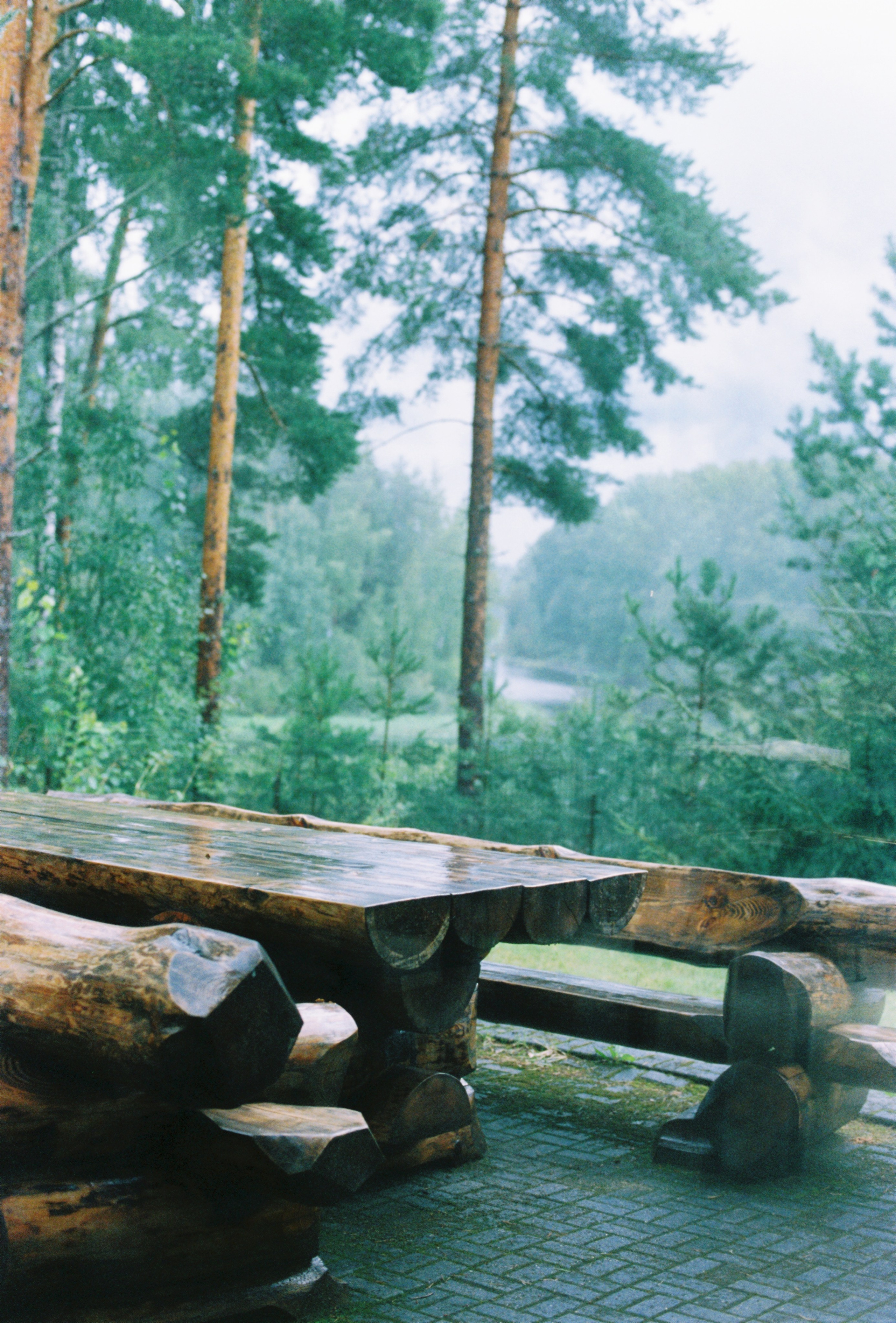 #2 August '24. Vladimir Tatko