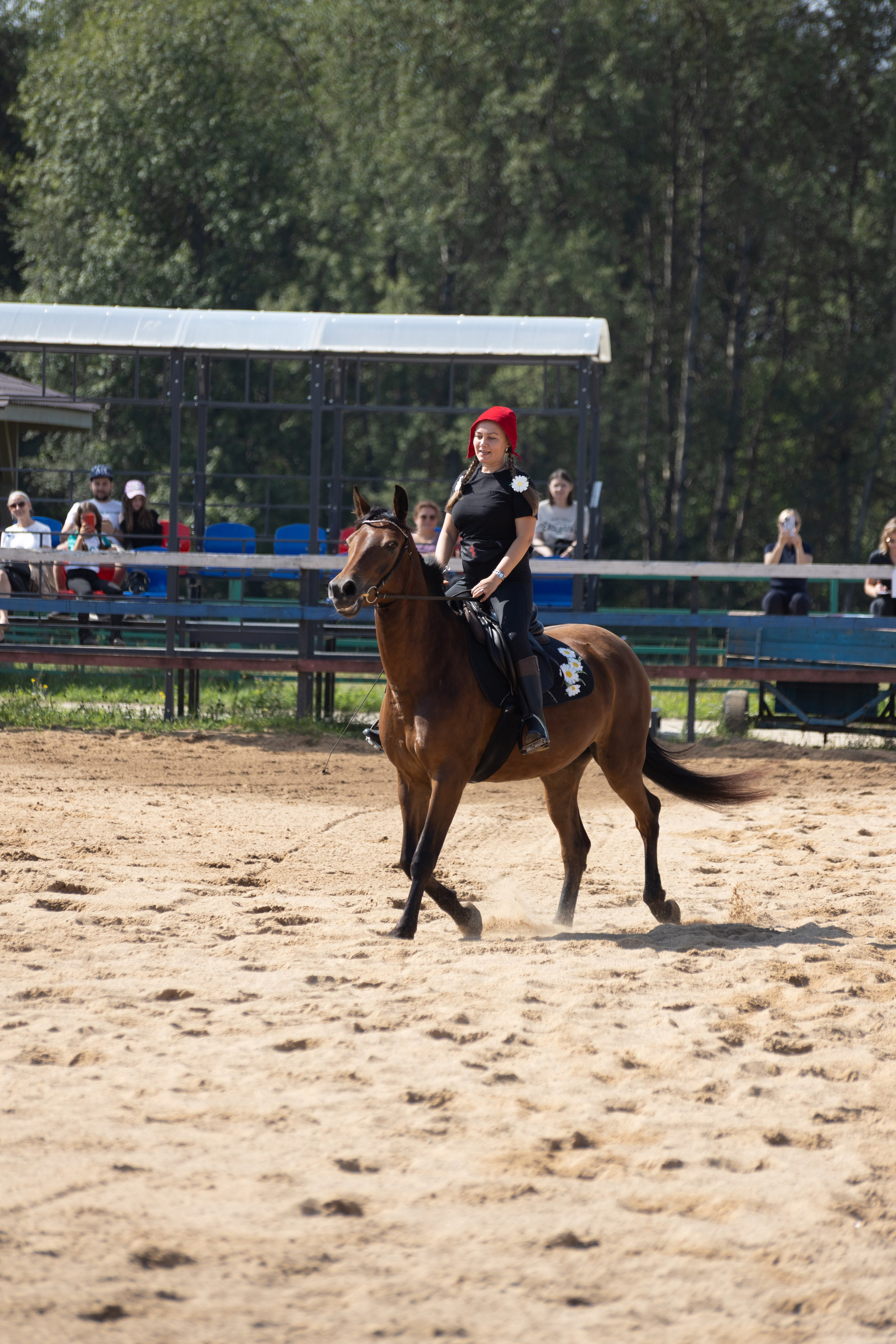 Конюшня. Фотограф в Москве и Истре