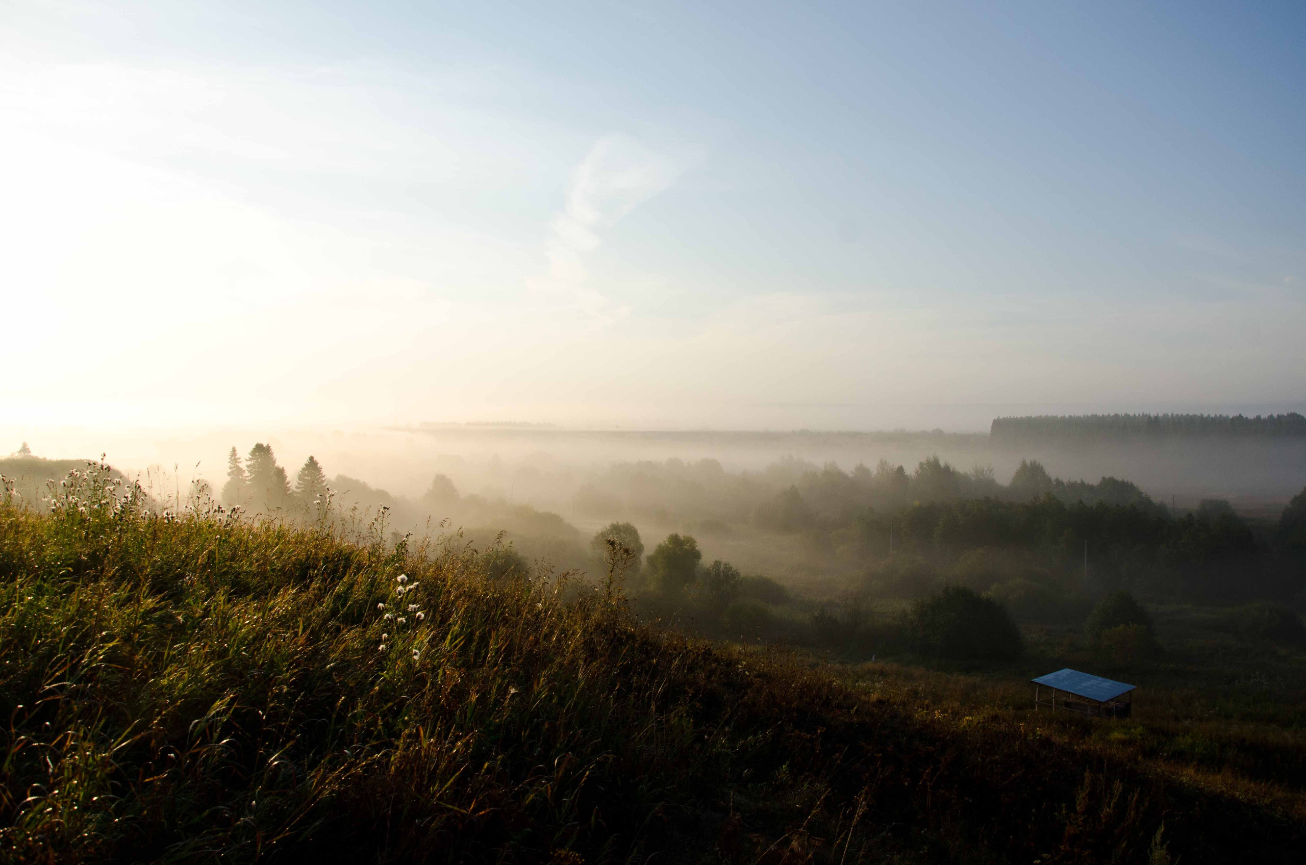 Проекты. Дракон и Ведьмочка — творческая коллаборация