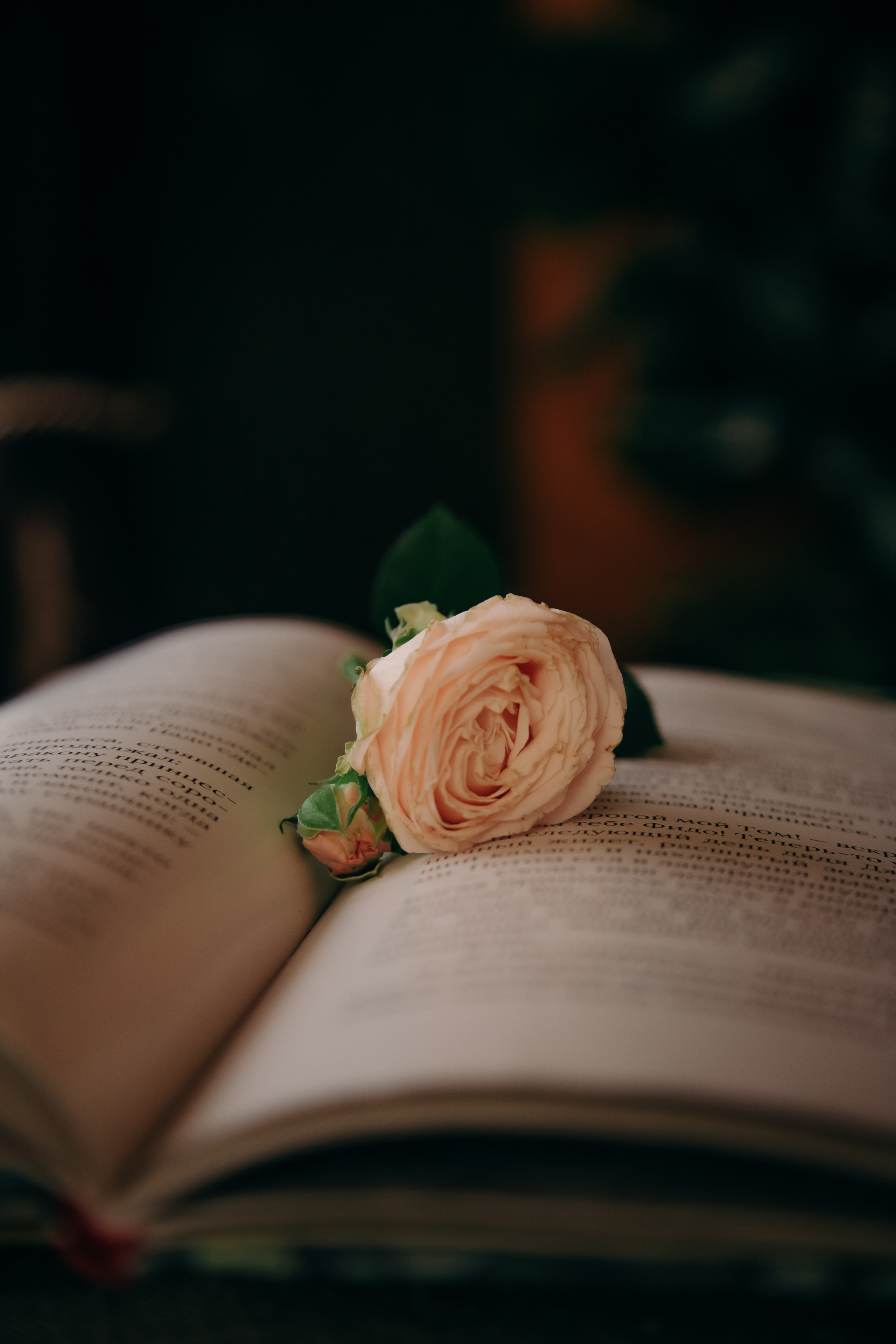 Съемка для владелицы книжного магазина. Фотограф вашей улыбки. Москва