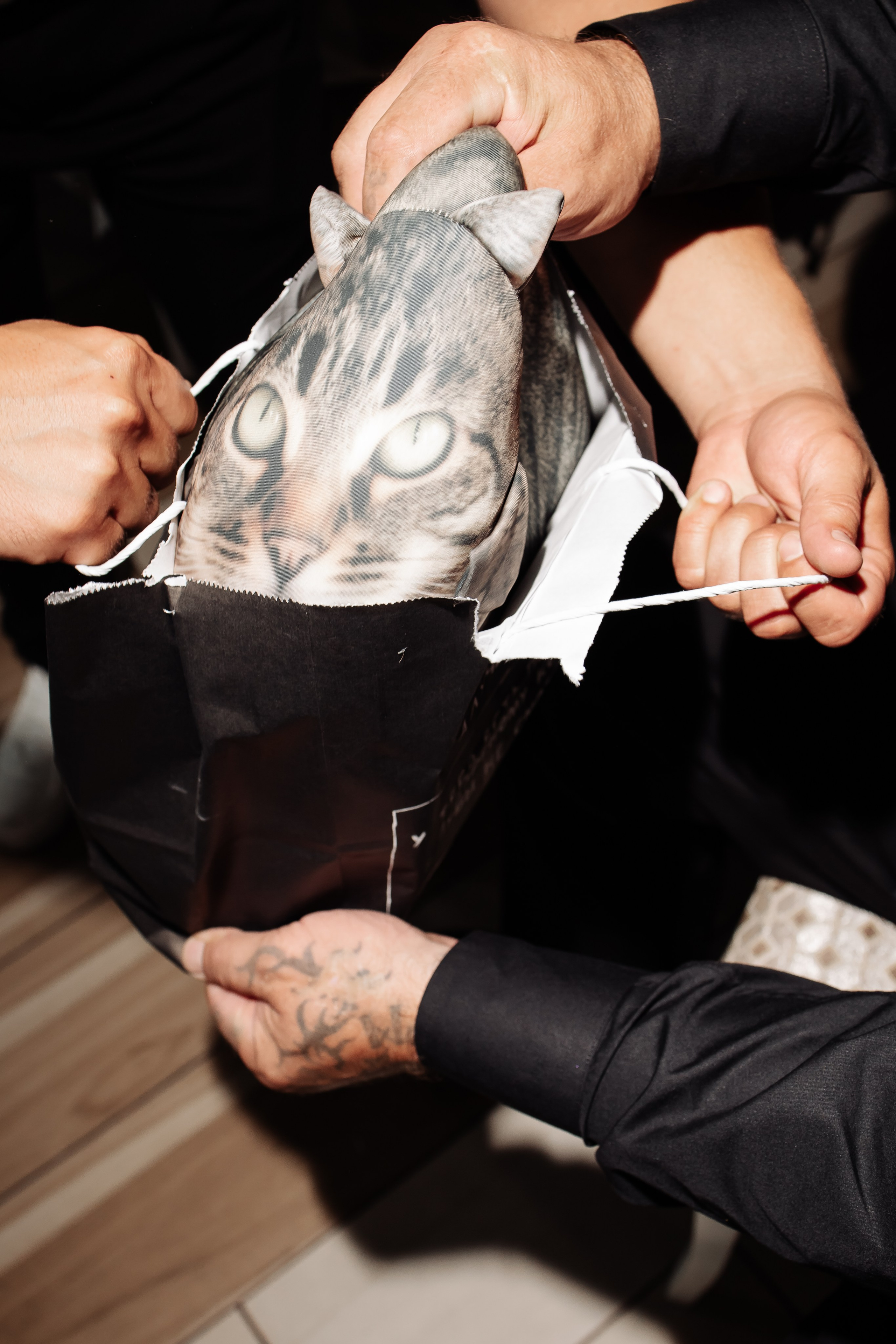 Даниил & Мария. Фотограф Орел Диана Ларичева