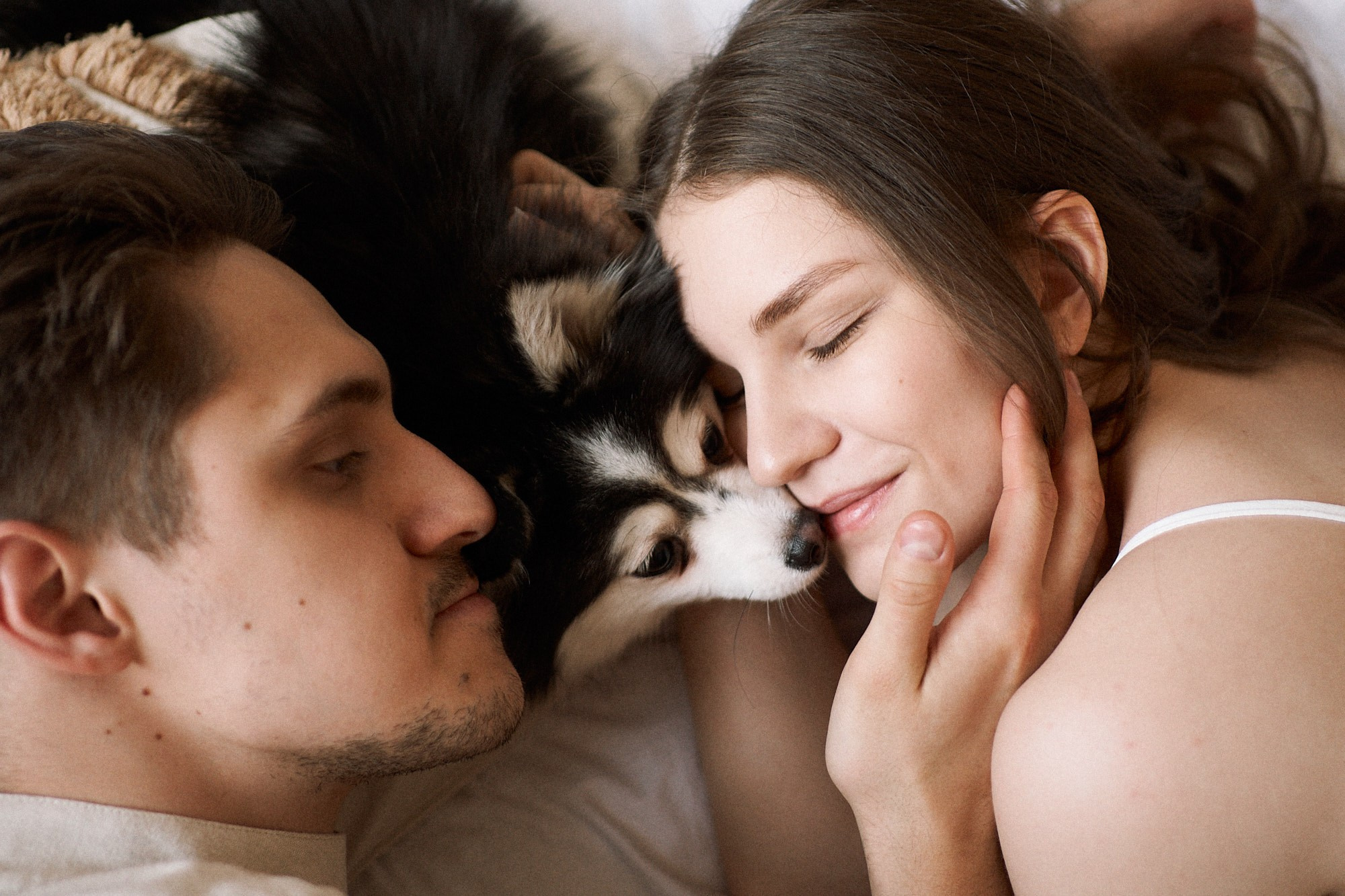 Маша, Ваня и Марс. Фотограф анималист Москва Дарья