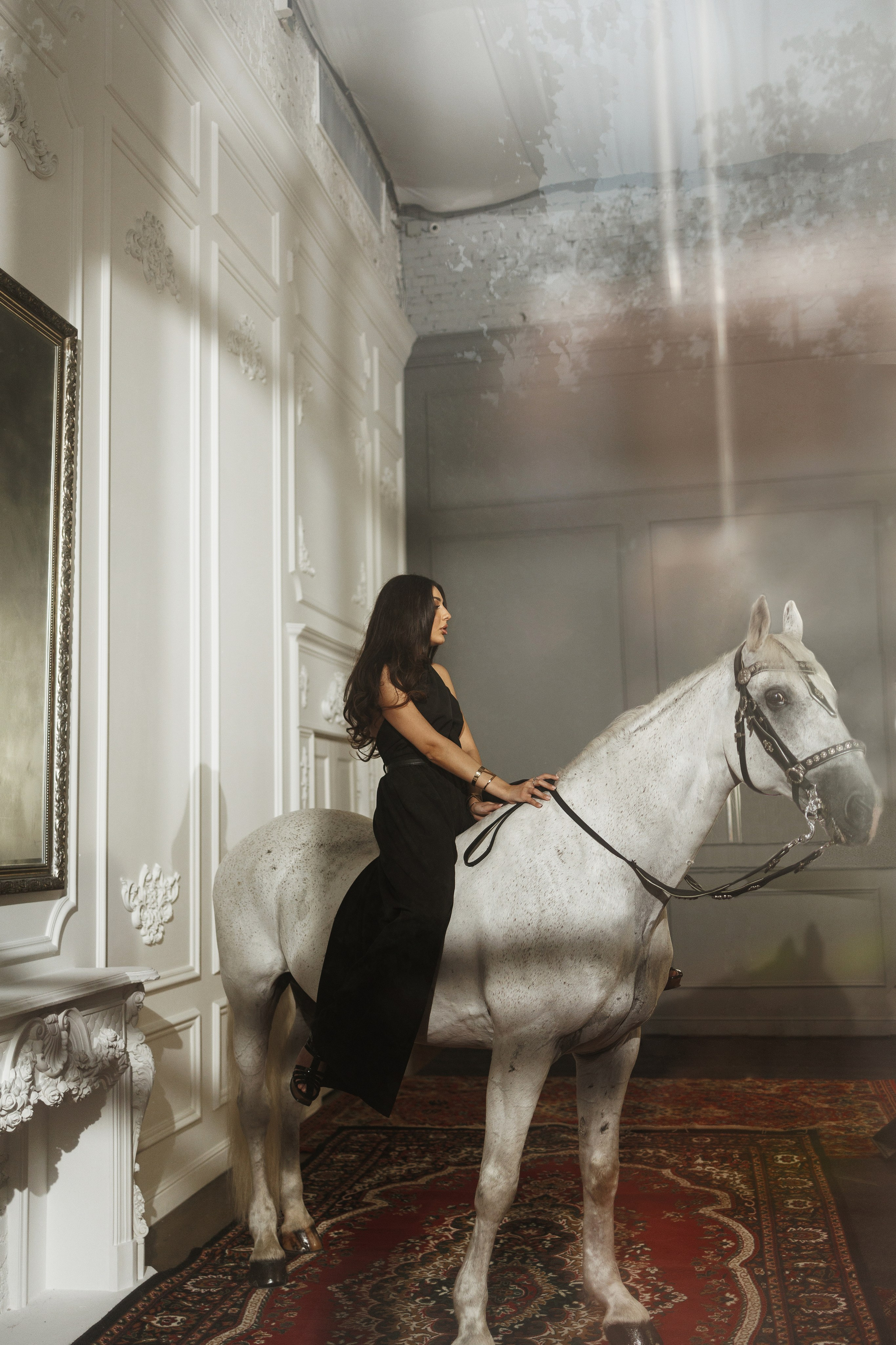 Лошадь в особняке. Марковкина КрисТина