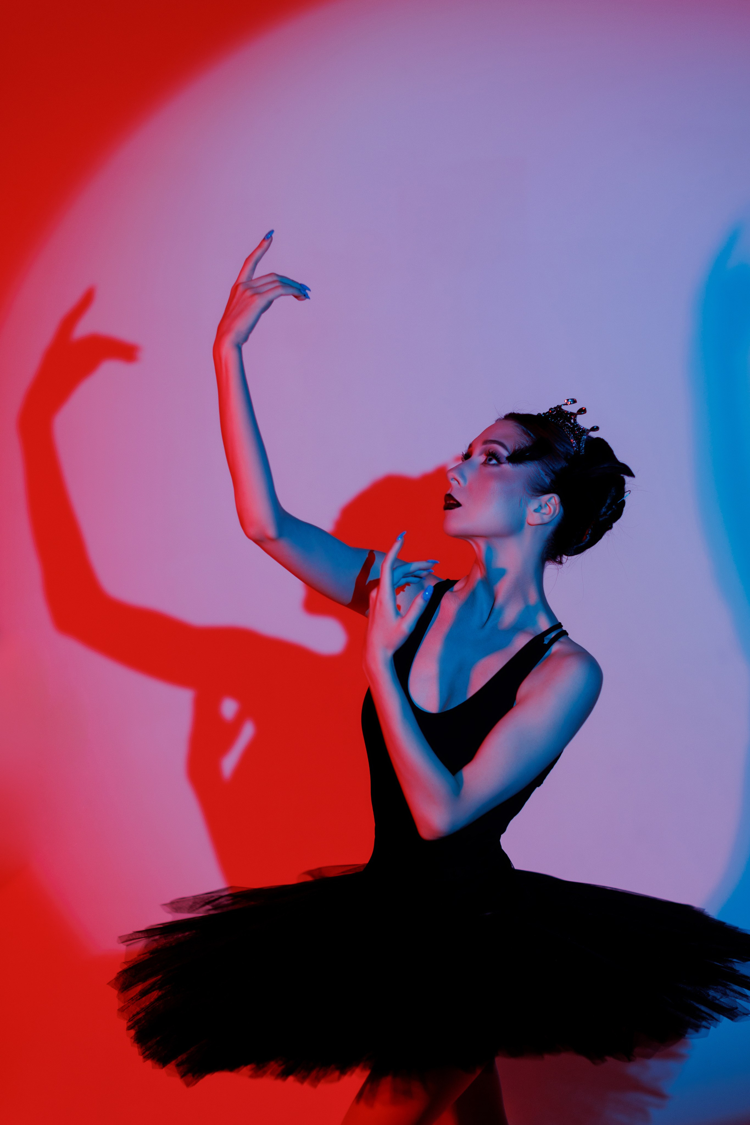 Черный лебедь. Марковкина КрисТина