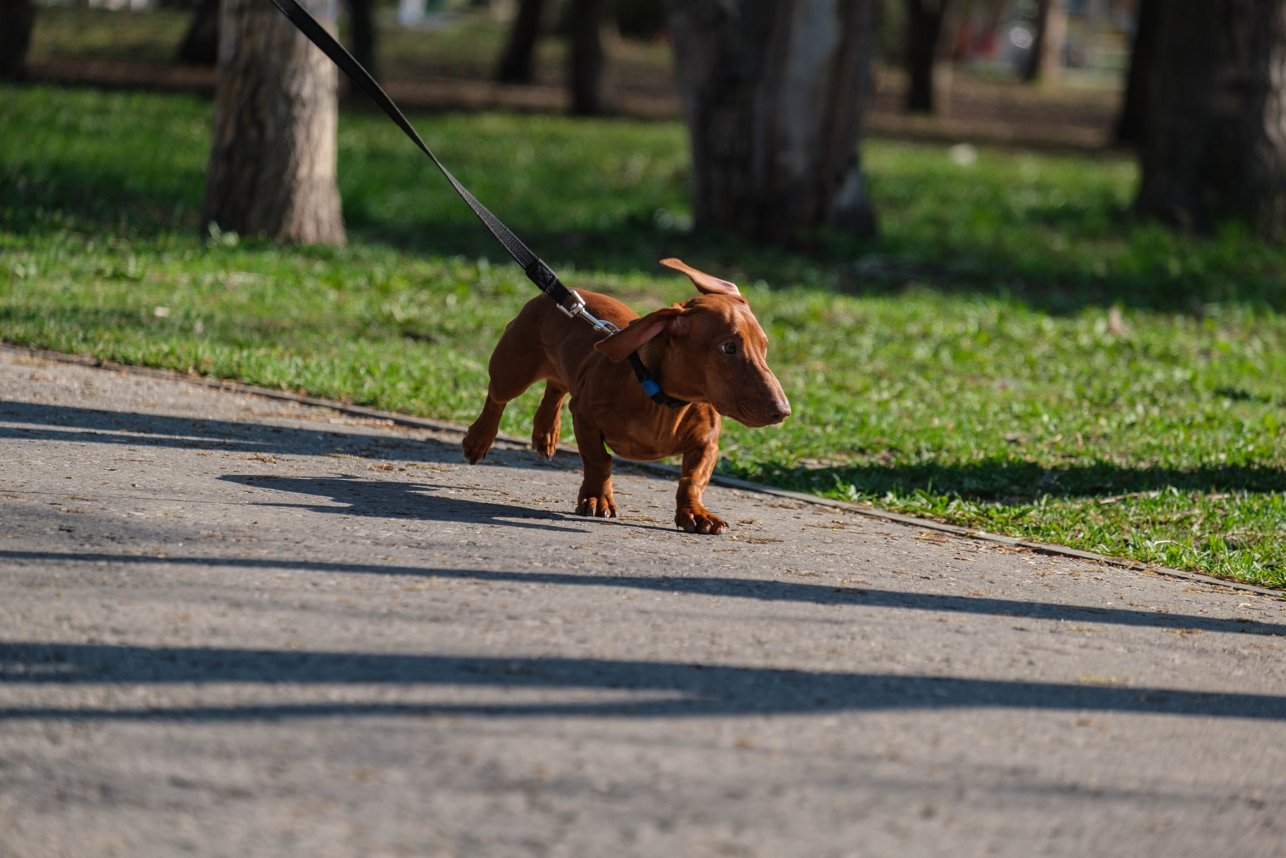 5 вёрст. Фотограф Диана Иремадзе