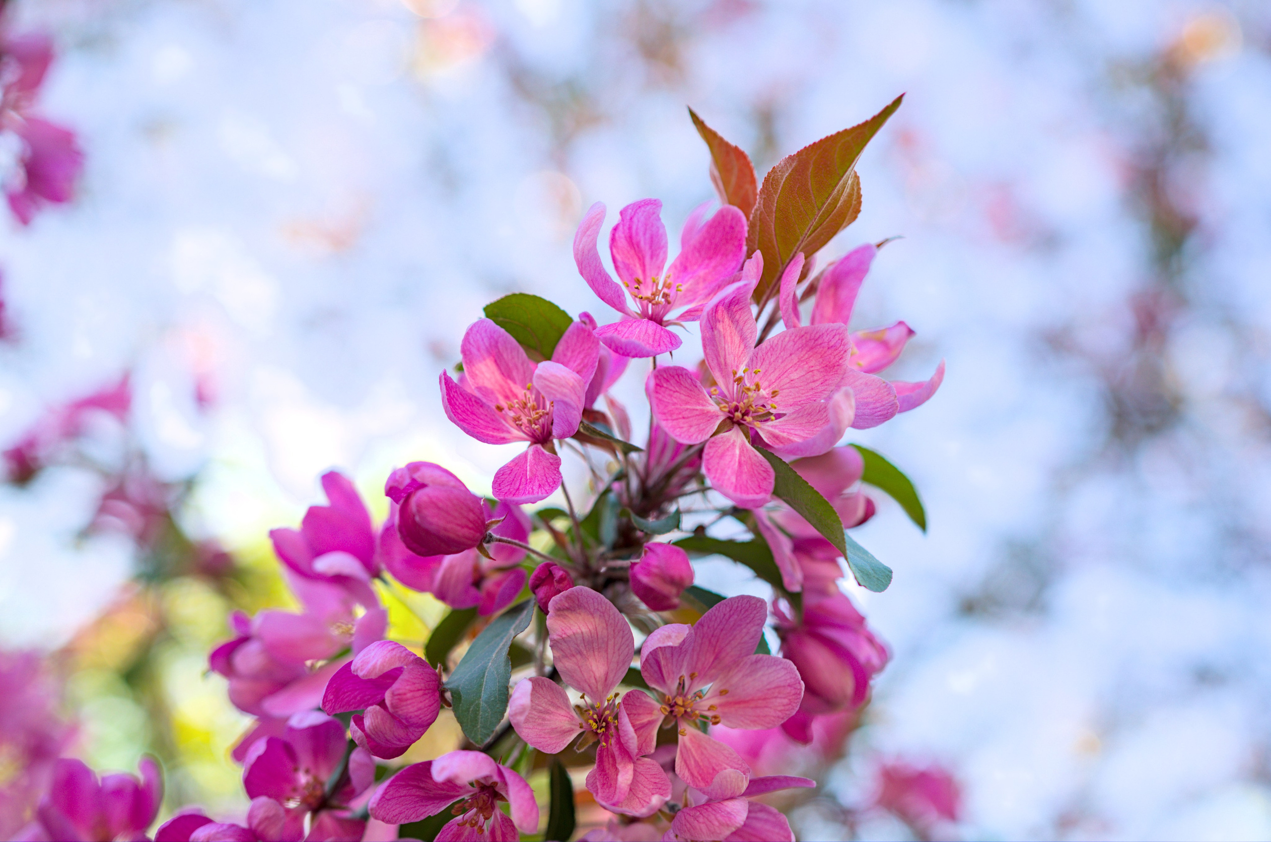 Природа. Фото детских спортивных мероприятий и всякое интересное через объектив