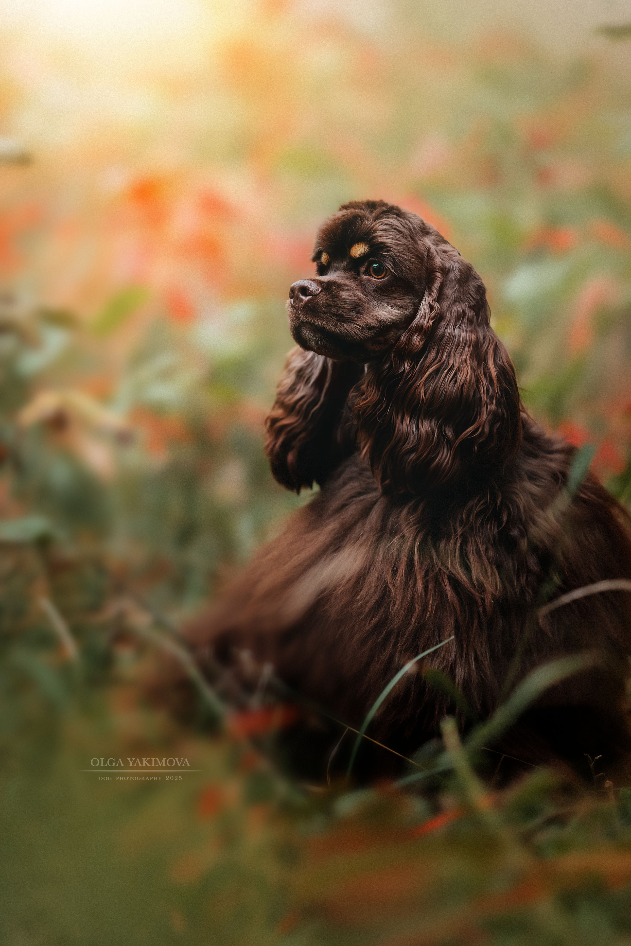 Экстерьер. Фотограф